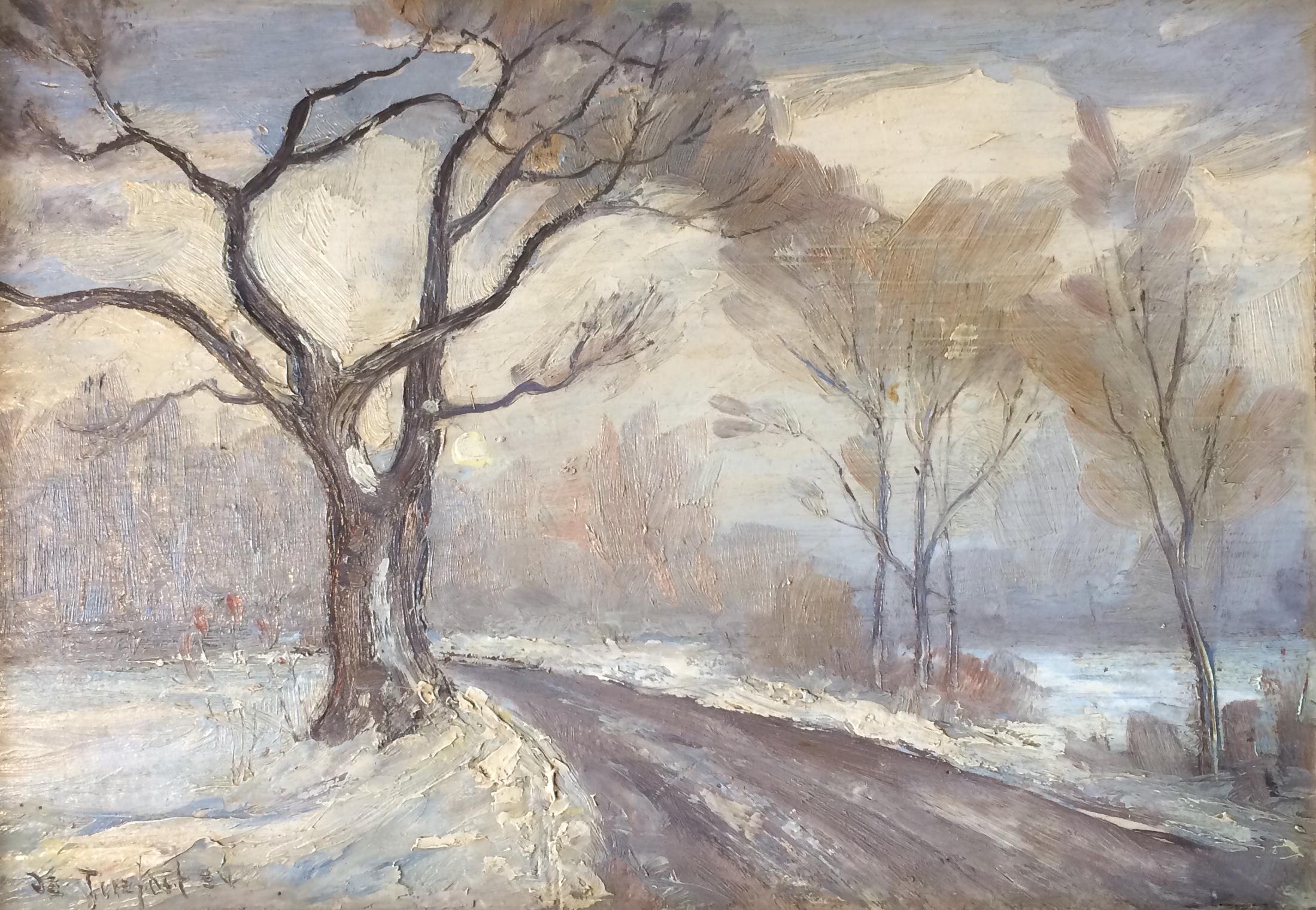 "Winter Landscape, Central Park, New York City," Snowy December Christmas