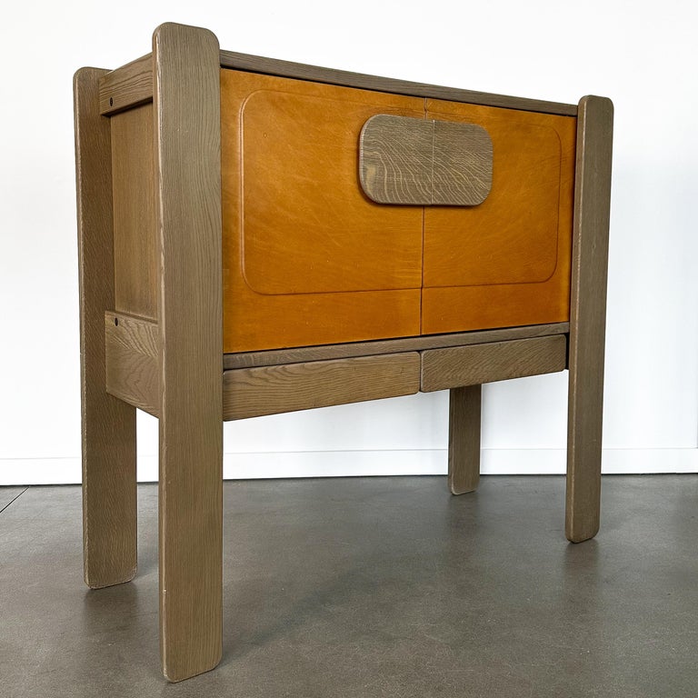 Belgian Brutalist Leather Front 2 Door For Sale at 1stDibs