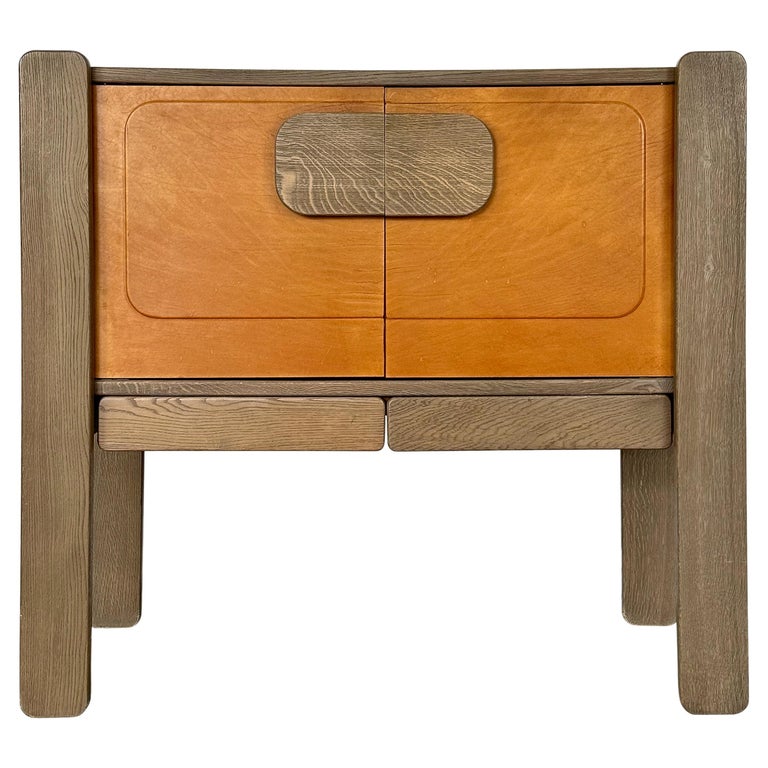 Belgian Brutalist Leather Front 2 Door For Sale at 1stDibs