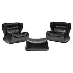 Belgian Design, Dark Brown 'Pasha' Lounge Chairs by Durlet, 1970's