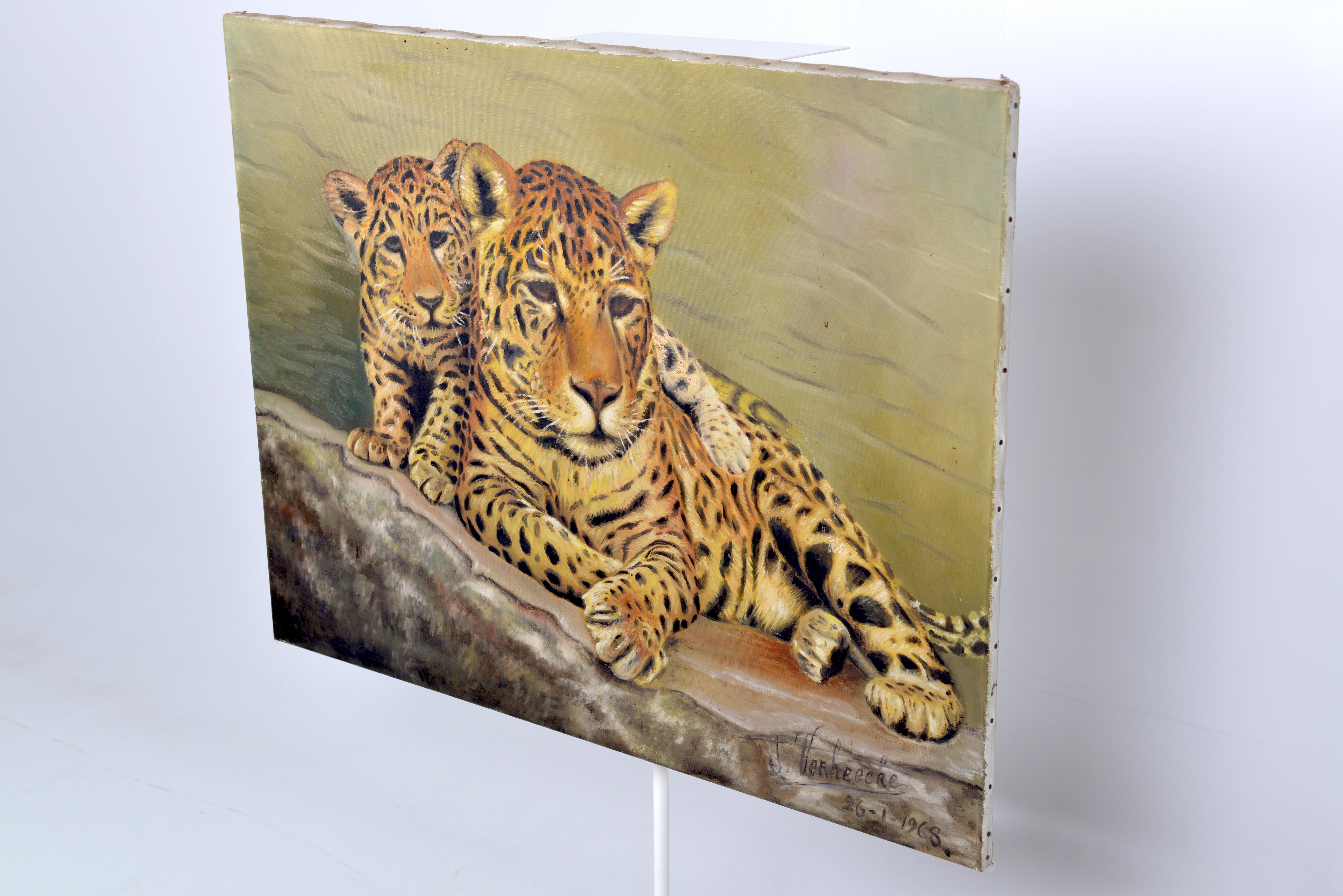 Belgian Leopards Painting, Belgium, 1968 For Sale 1