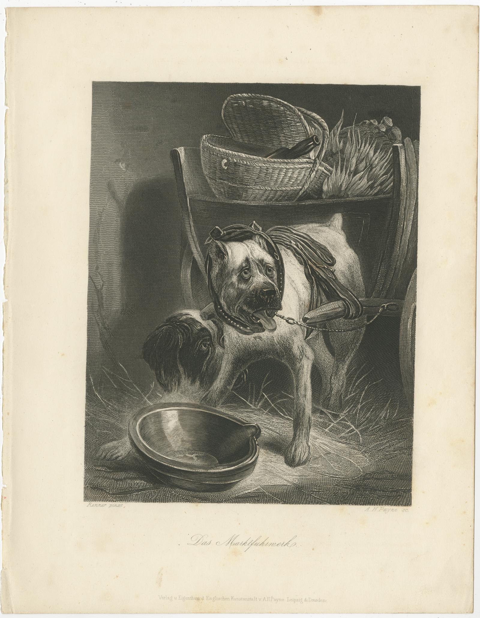 Belgian Mastiff Working Dog – Antique Engraving by A.H. Payne, c.1850 For Sale 4