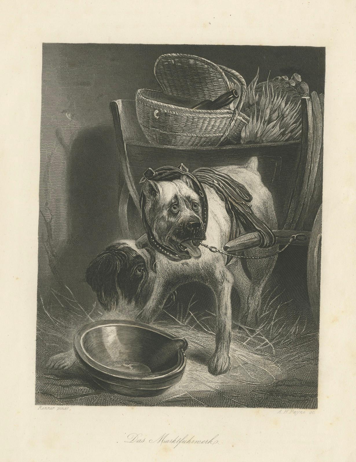 Belgian Mastiff Working Dog – Antique Engraving by A.H. Payne, c.1850 In Good Condition For Sale In Langweer, NL