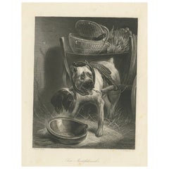 Belgian Mastiff Working Dog – Antique Engraving by A.H. Payne, c.1850