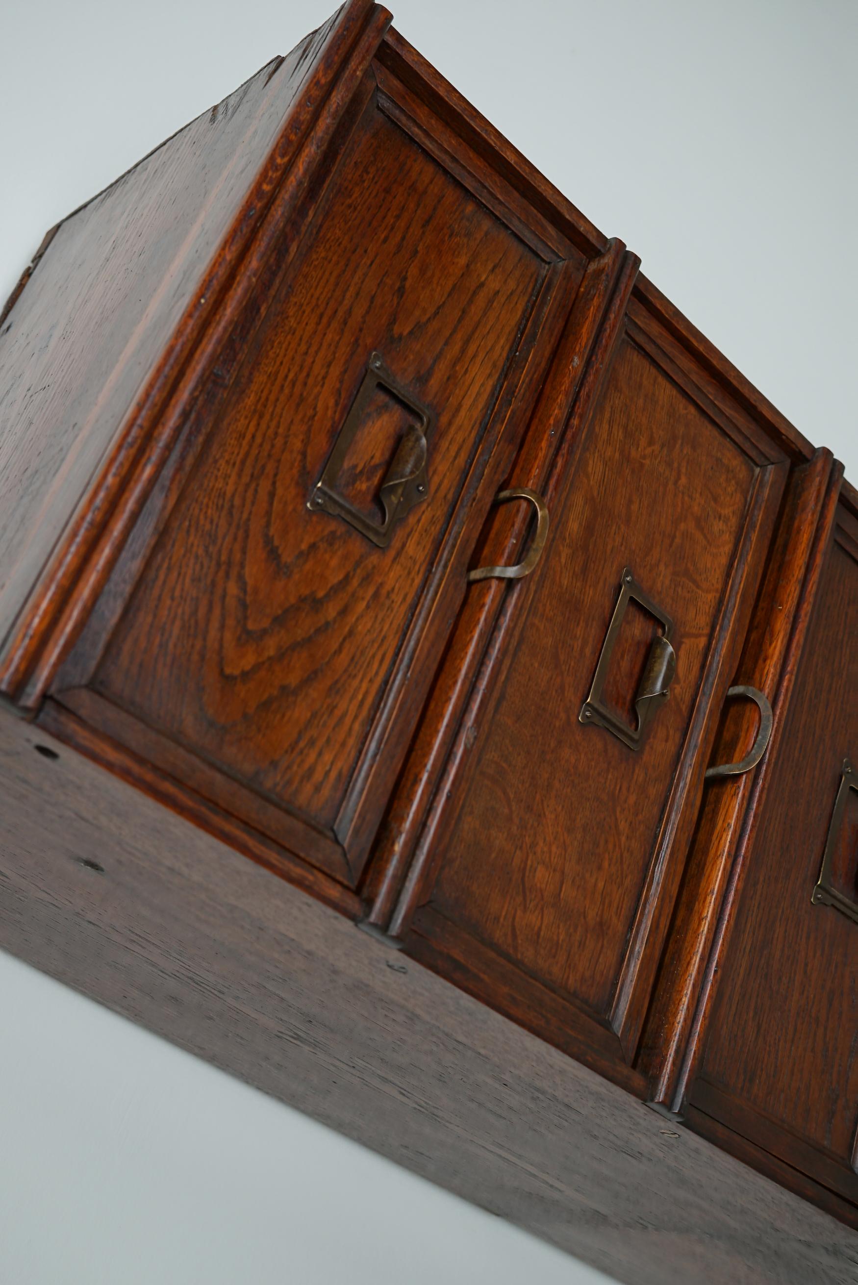 Belgian Oak Apothecary / Filing Cabinet Folding Doors, 1920/30s In Good Condition For Sale In Nijmegen, NL