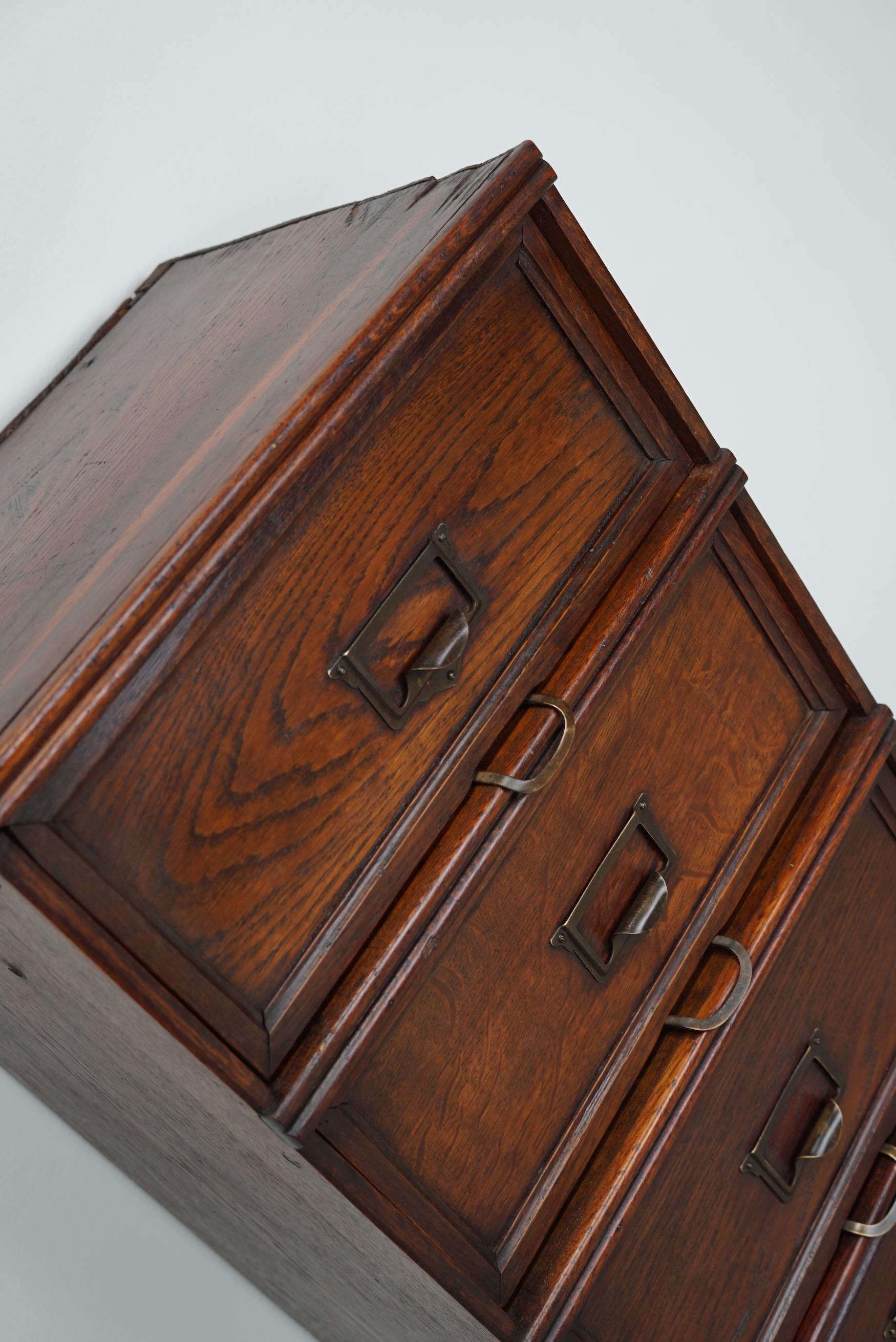 Belgian Oak Apothecary / Filing Cabinet Folding Doors, 1920/30s For Sale 4
