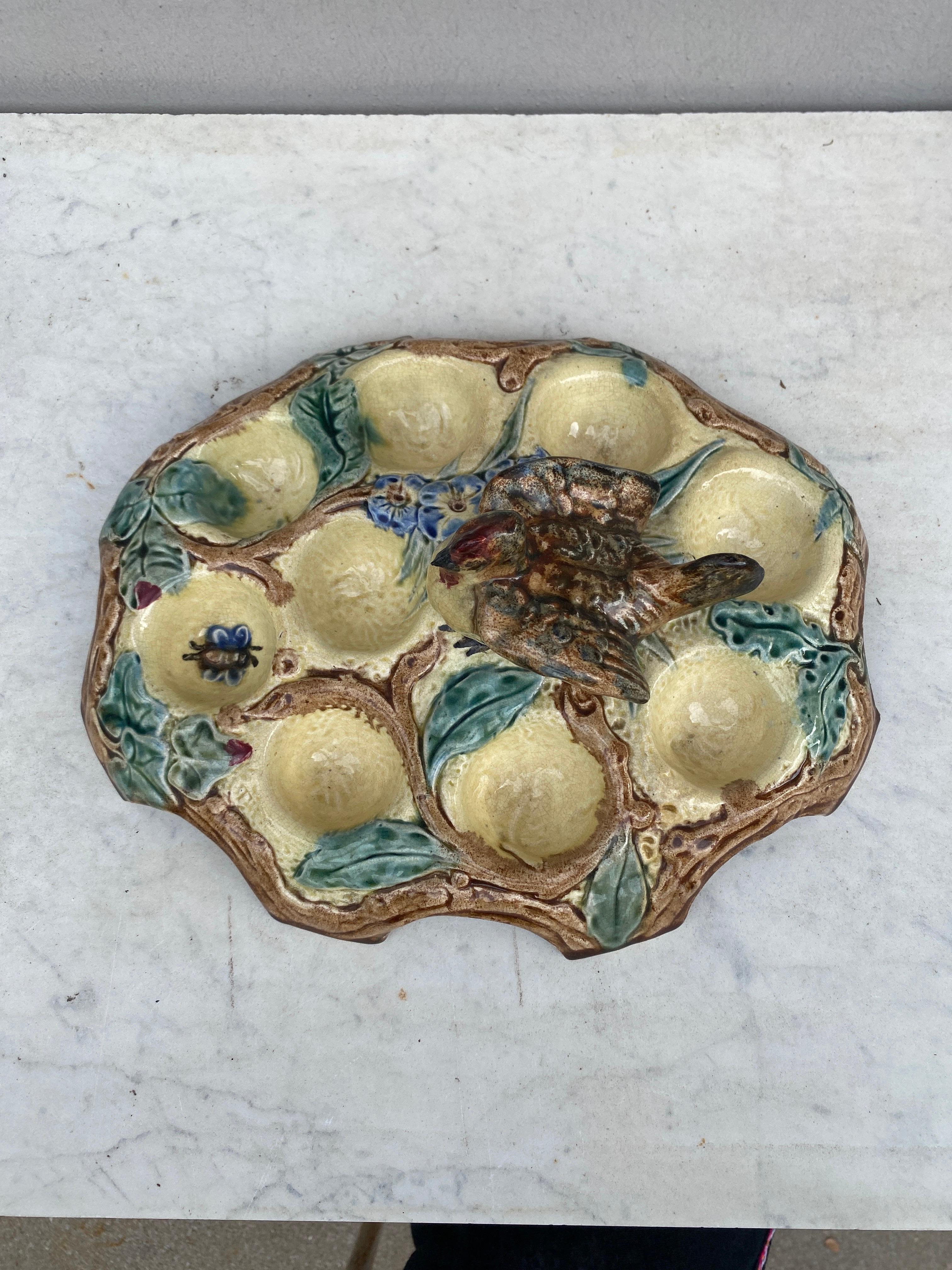 Belgium Majolica Egg Plate with Bird, circa 1880 In Good Condition For Sale In Austin, TX