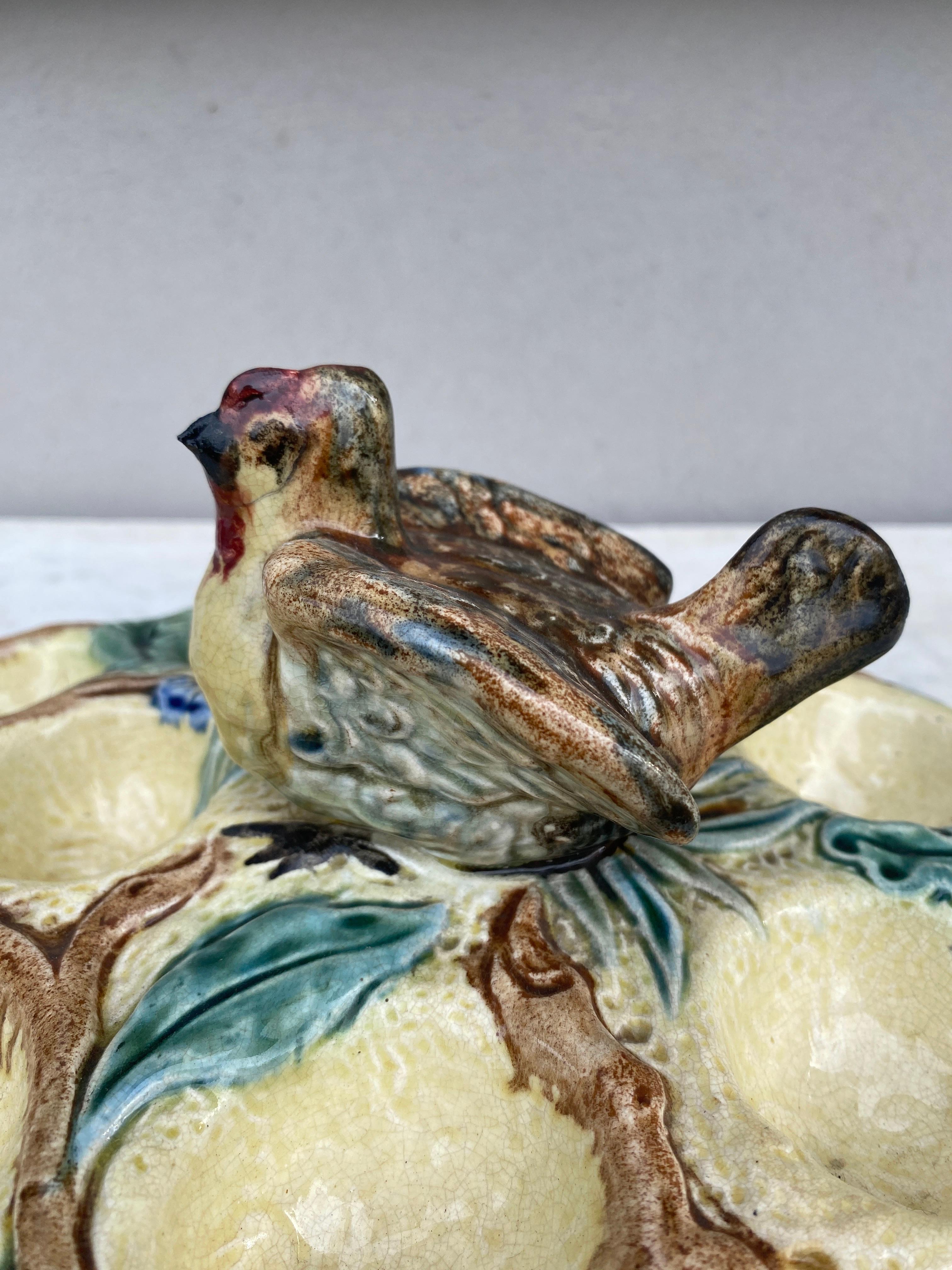 Late 19th Century Belgium Majolica Egg Plate with Bird, circa 1880 For Sale