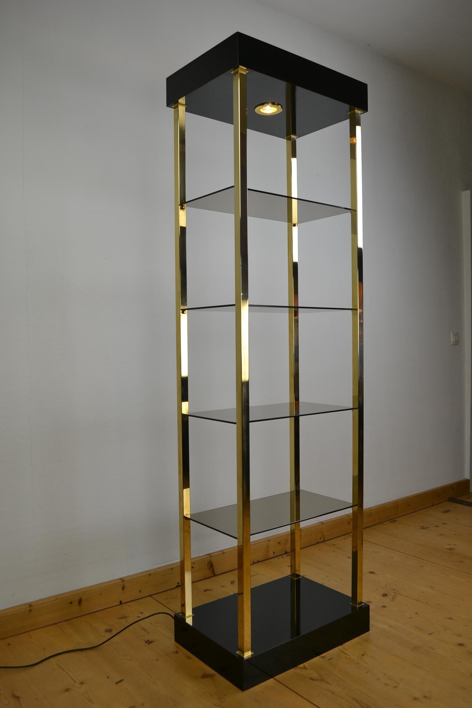 Belgo Chrome Etagere, Vitrine, Showcase, Gold-Plated with Light In Good Condition For Sale In Antwerp, BE