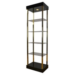 Belgo Chrome Etagere, Vitrine, Showcase, Gold-Plated with Light
