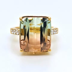 BELL-zertifizierter Ring aus Gelbgold mit einem runden Turmalin-Diamanten von 13,90 Karat
