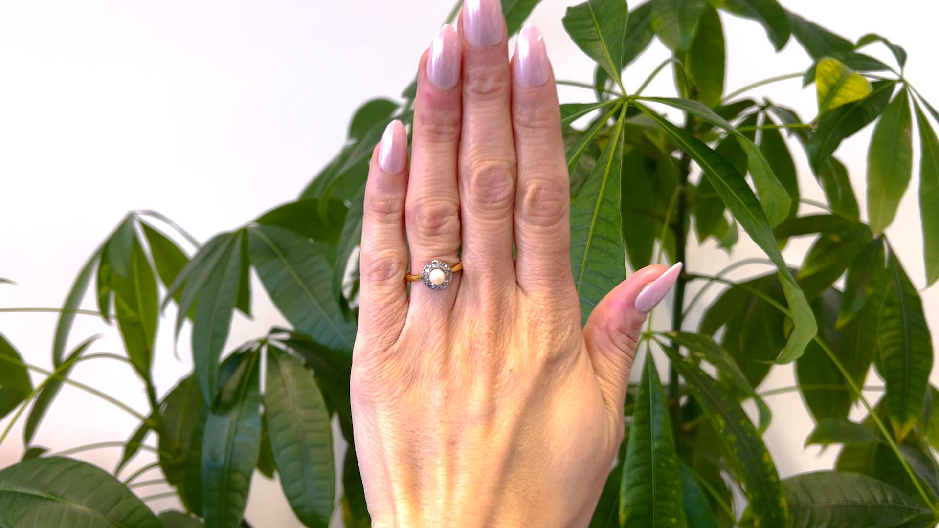 Eine Belle Époque Französisch Perle Diamant 18k Gelbgold Platin Ring. Mit einer cremefarbenen Perle von etwa 4,90 Millimetern. Akzentuiert durch acht Diamanten im Rosenschliff mit einem Gesamtgewicht von ca. 0,15 Karat, eingestuft in Farbe F-G und