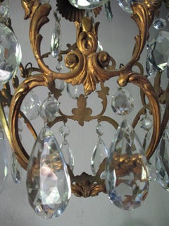 Italian Belle Époque Chandelier