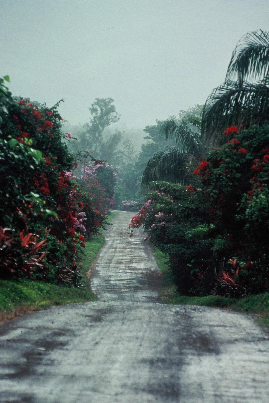 Bellec Landscape Photograph - Costa Rica