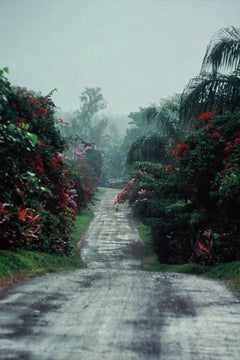 Vintage Costa Rica