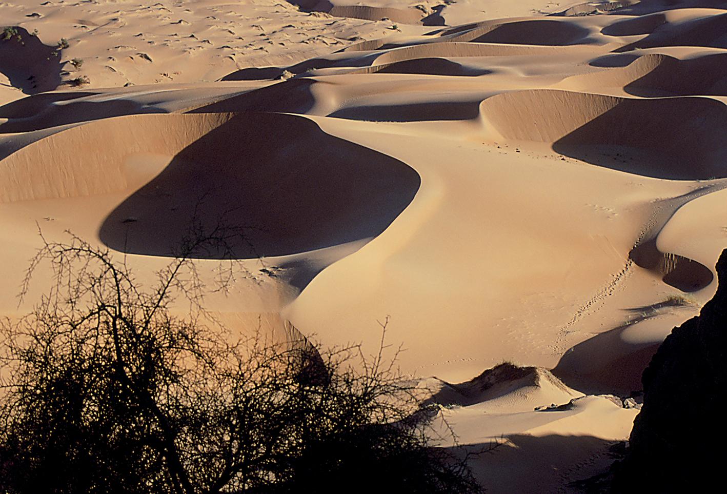 Landscape Photograph Bellec - Desert Mauritanie