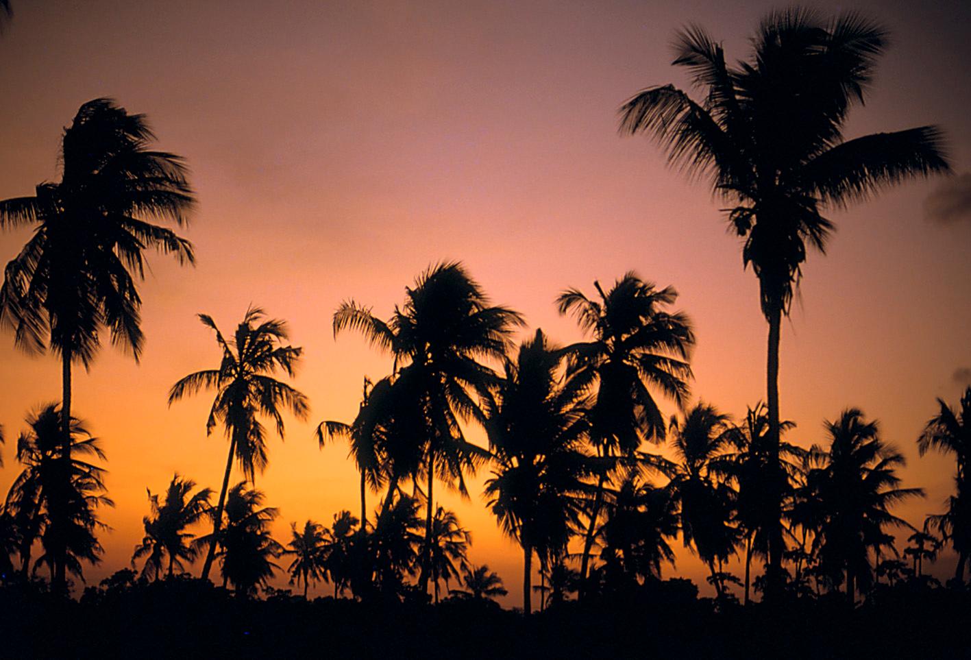 Bellec Color Photograph - Sunset in Sri Lanka