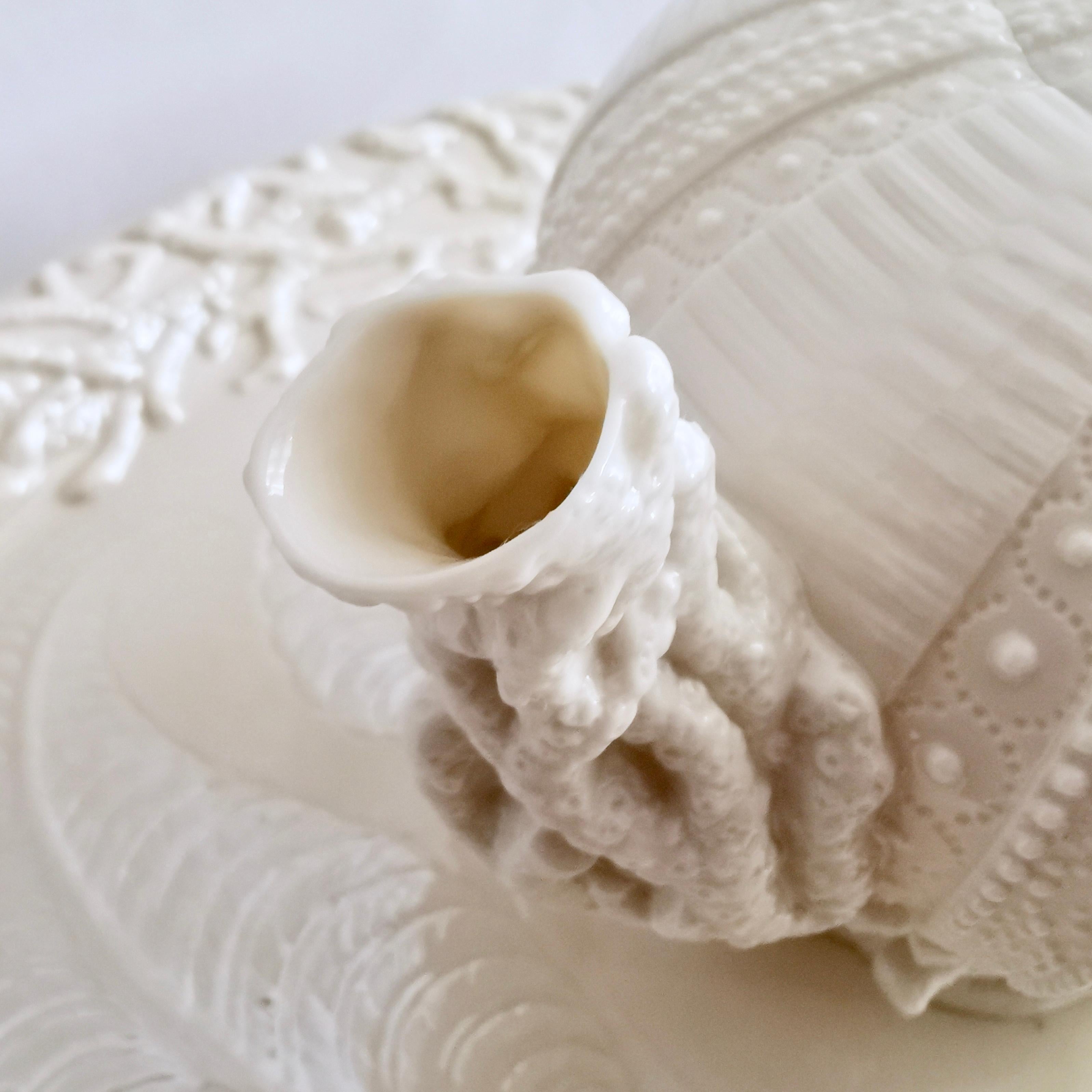 Belleek Porcelain Cabaret Tea Set, White Echinus, Victorian, 1867-1926 6