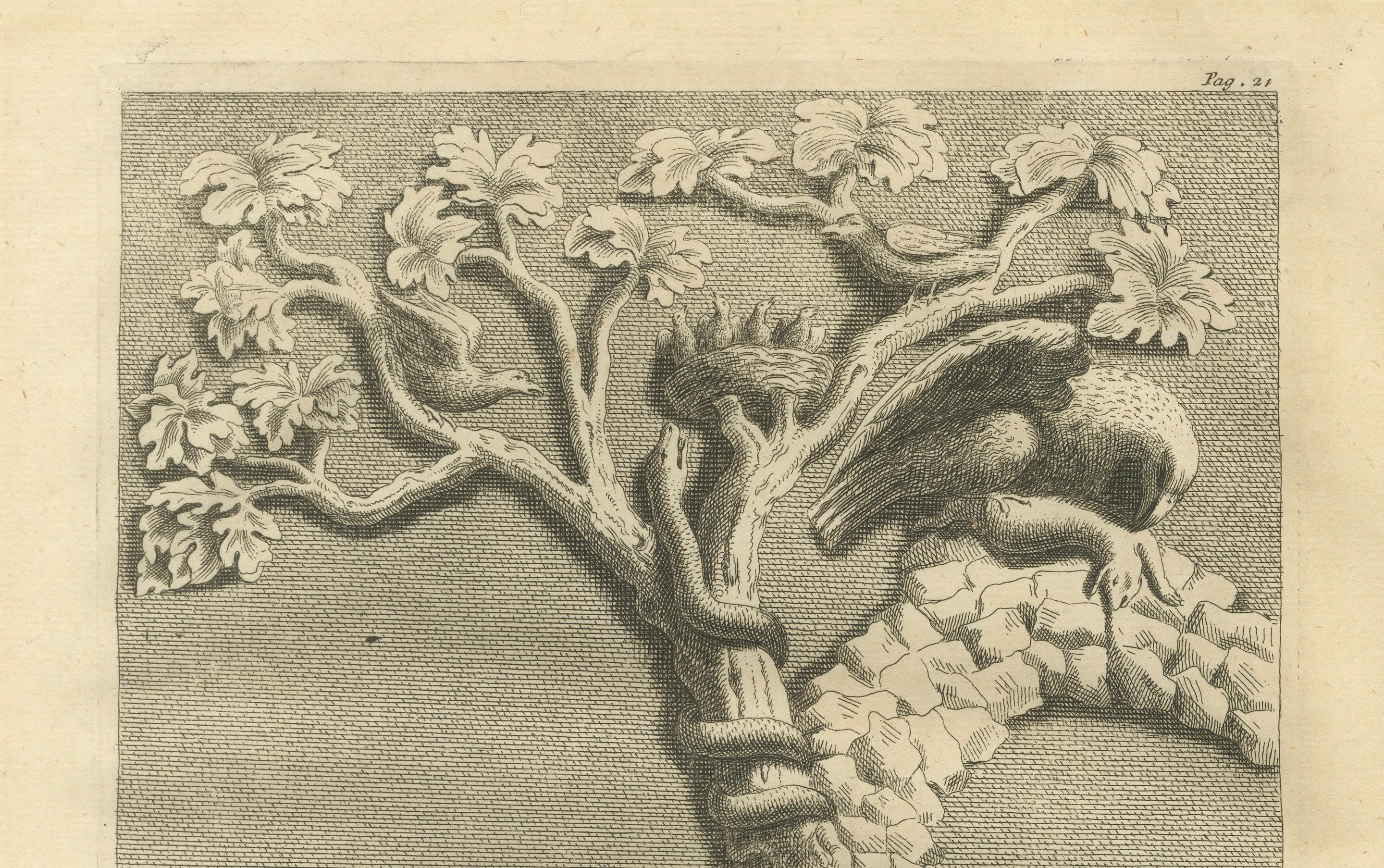 Bellori Roman Relief with Children and Animals, English Engraving, 1721
