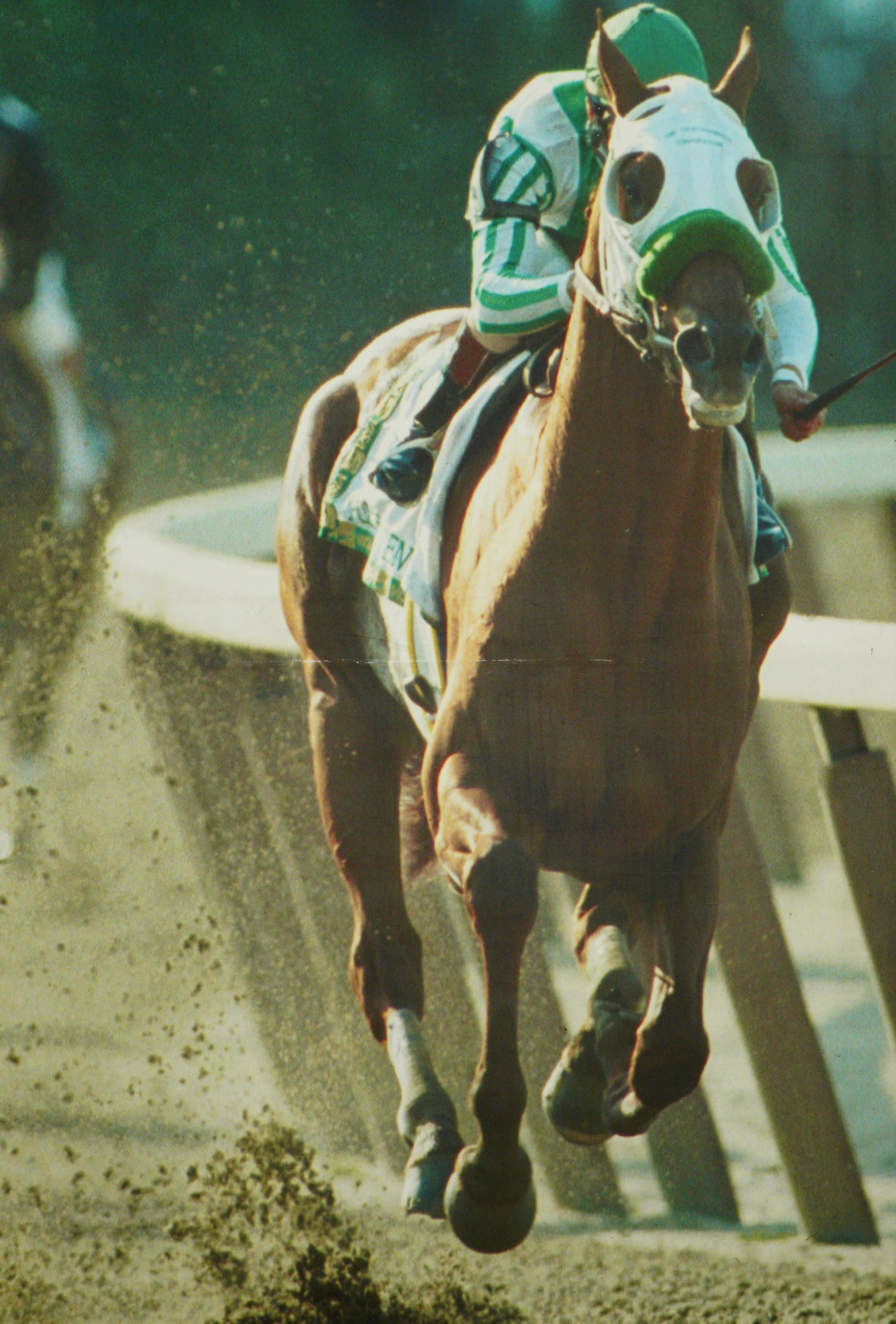 Vinyl print from the Belmont Park Racetrack in Elmont, New York. It features the Horse of the Year in 2001 named Point Given. Great condition with minor surface wear in the center of the print. One available. Please note, this item is located in our