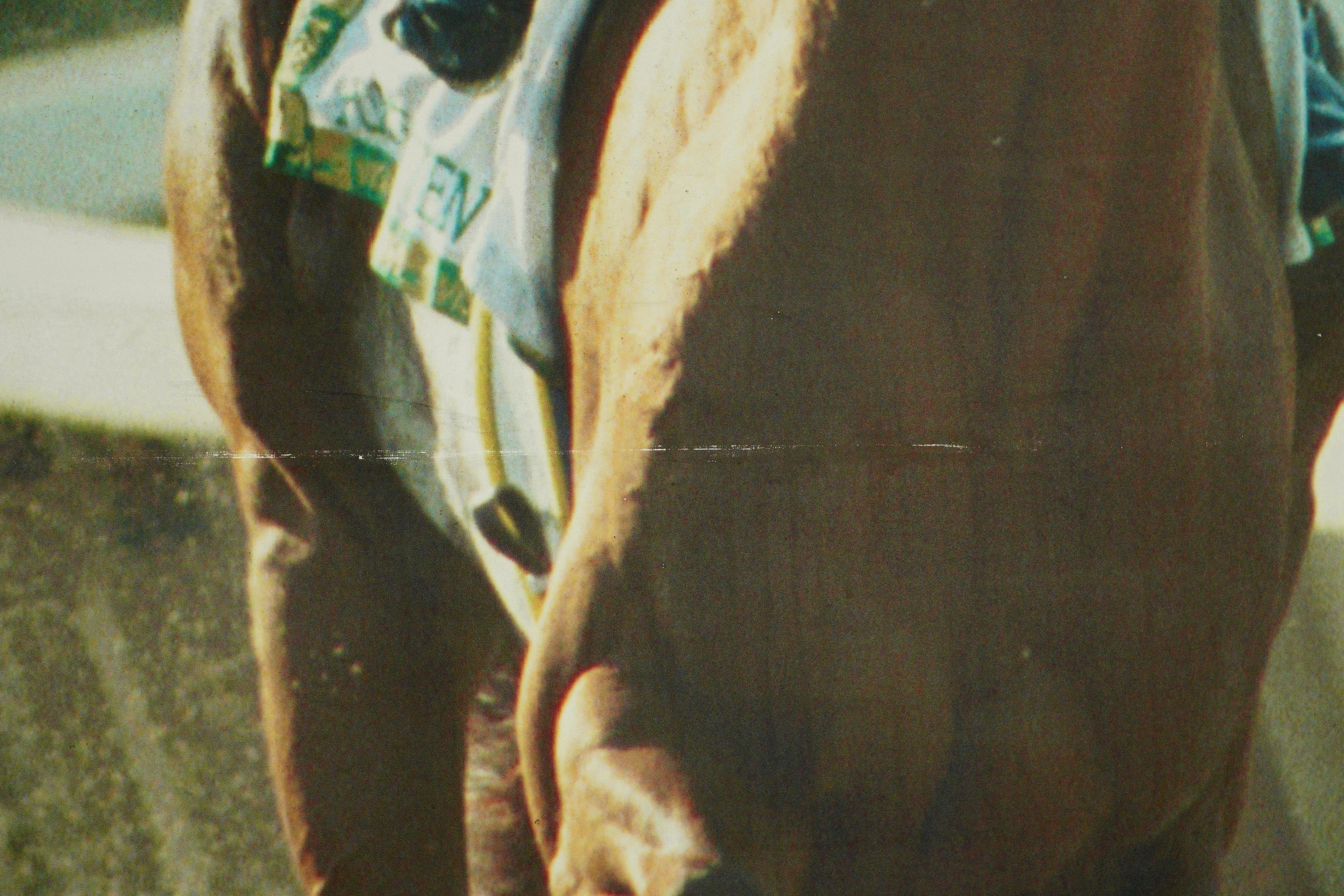 Belmont Park 2001 Horse of The Year Point Given Vinyl Print In Good Condition For Sale In New York, NY