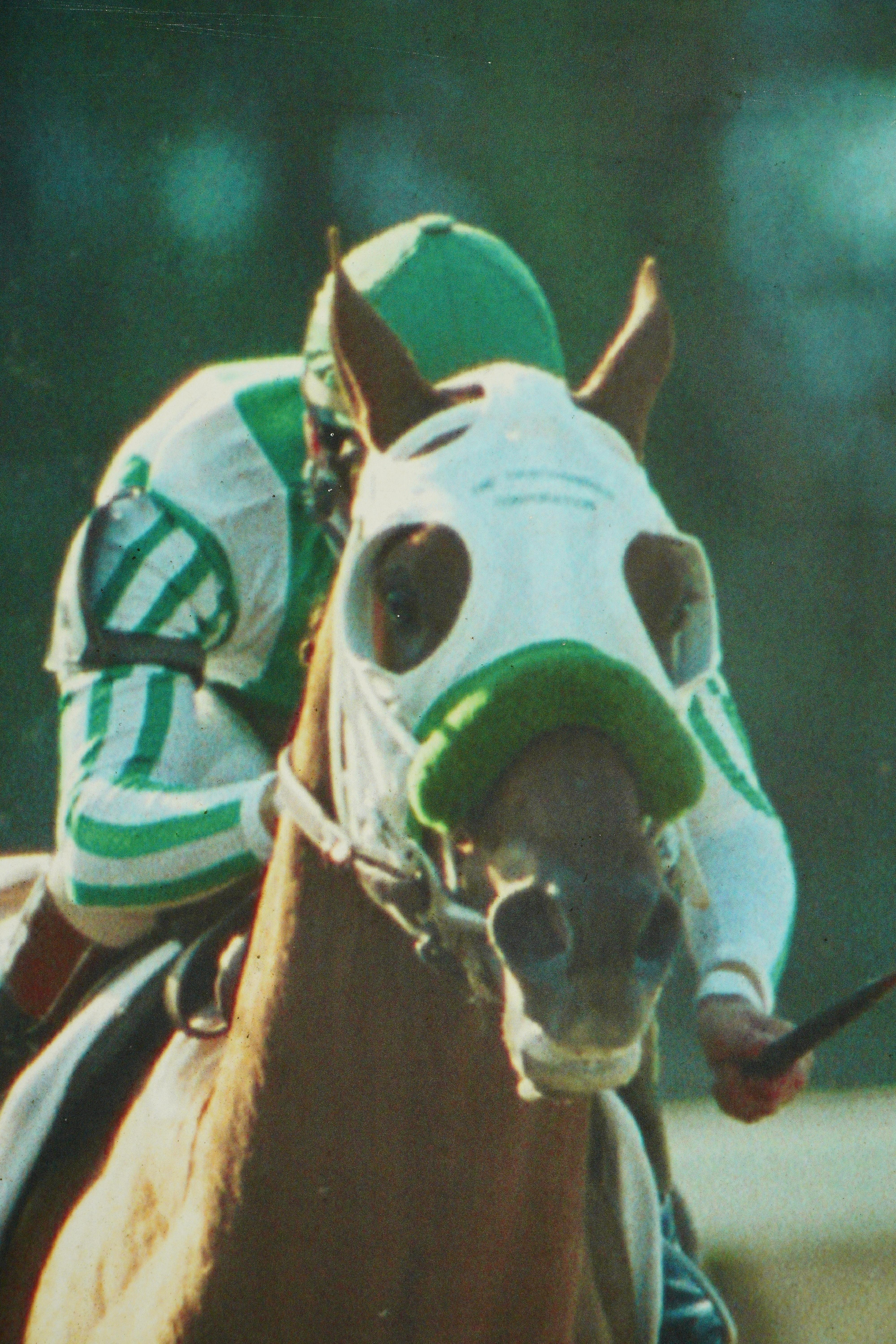 Contemporary Belmont Park 2001 Horse of The Year Point Given Vinyl Print For Sale
