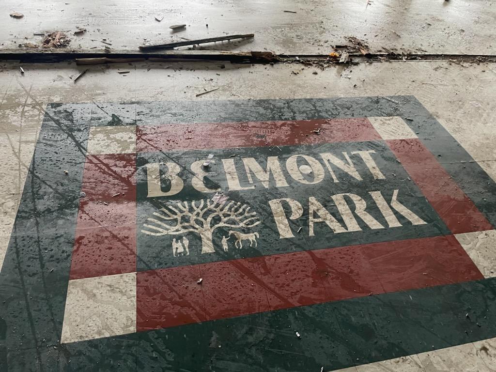 Belmont Park 2001 Horse of The Year Point Given Vinyl Print For Sale 3