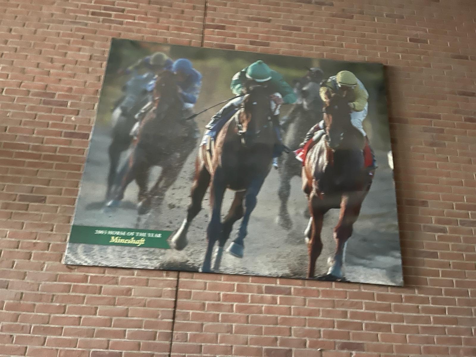 Belmont Park 2003 Pferd des Jahres Mineshaft Canvas Druck im Angebot 6