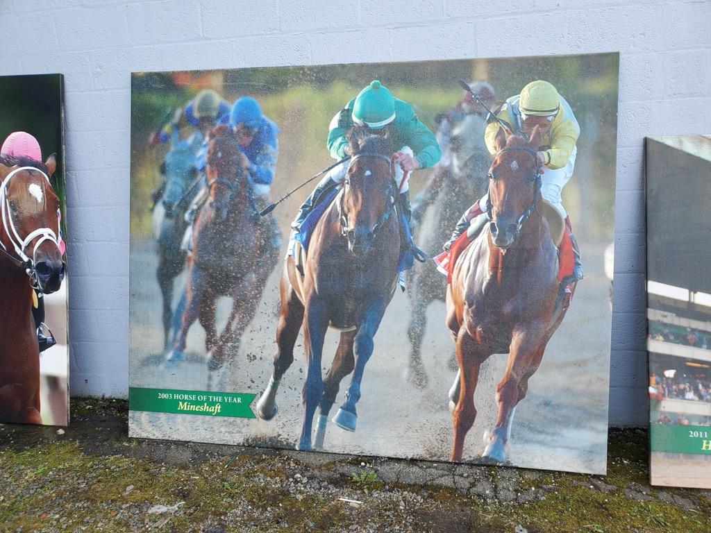 Belmont Park 2003 Pferd des Jahres Mineshaft Canvas Druck im Angebot 7