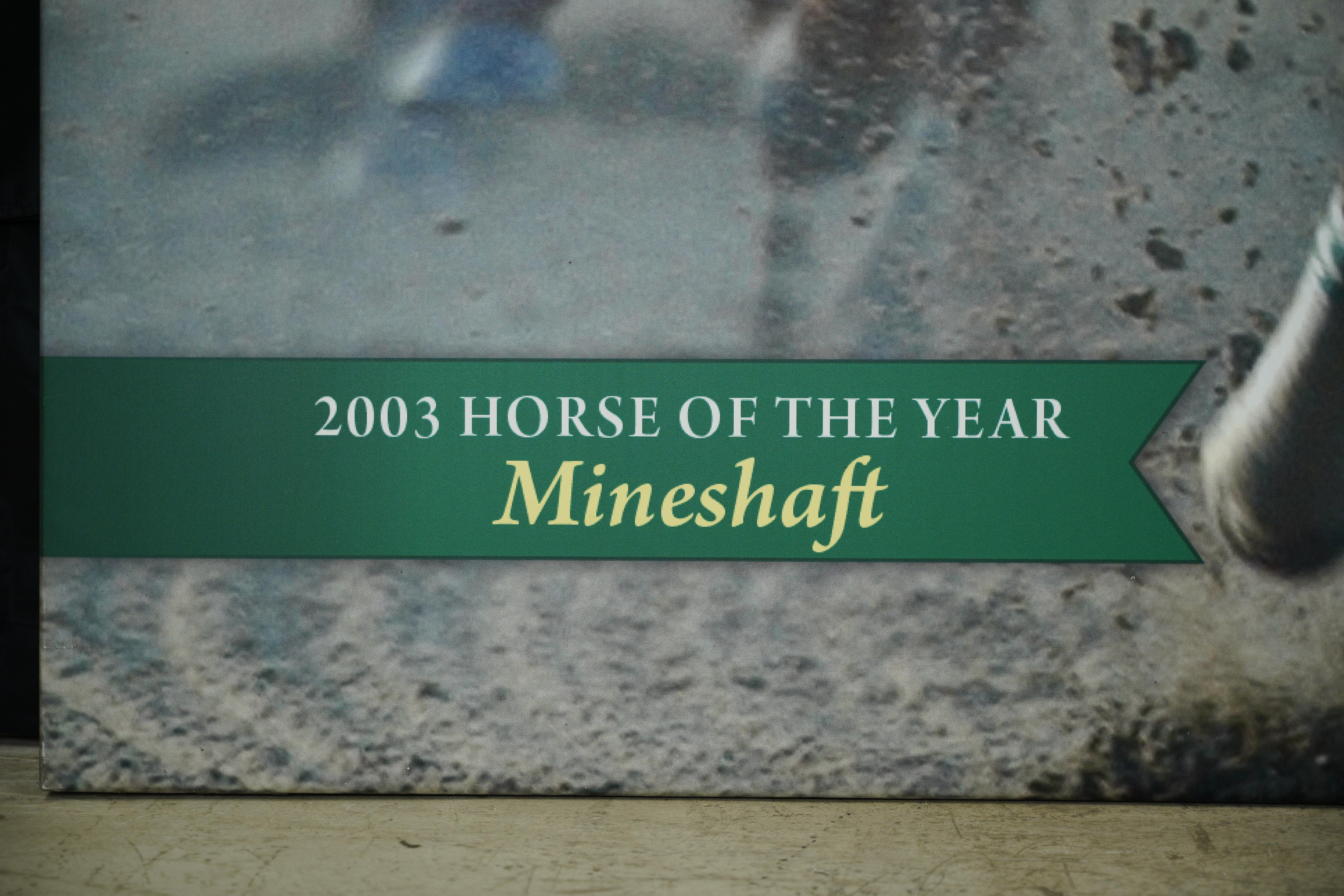 Leinwanddruck von der Rennbahn Belmont Park in Elmont, New York. Es zeigt das Pferd des Jahres 2003 namens Mineshaft. Toller Zustand mit wenigen weißen Oberflächenflecken. Einer verfügbar. Bitte beachten Sie, dieser Artikel befindet sich in unserem