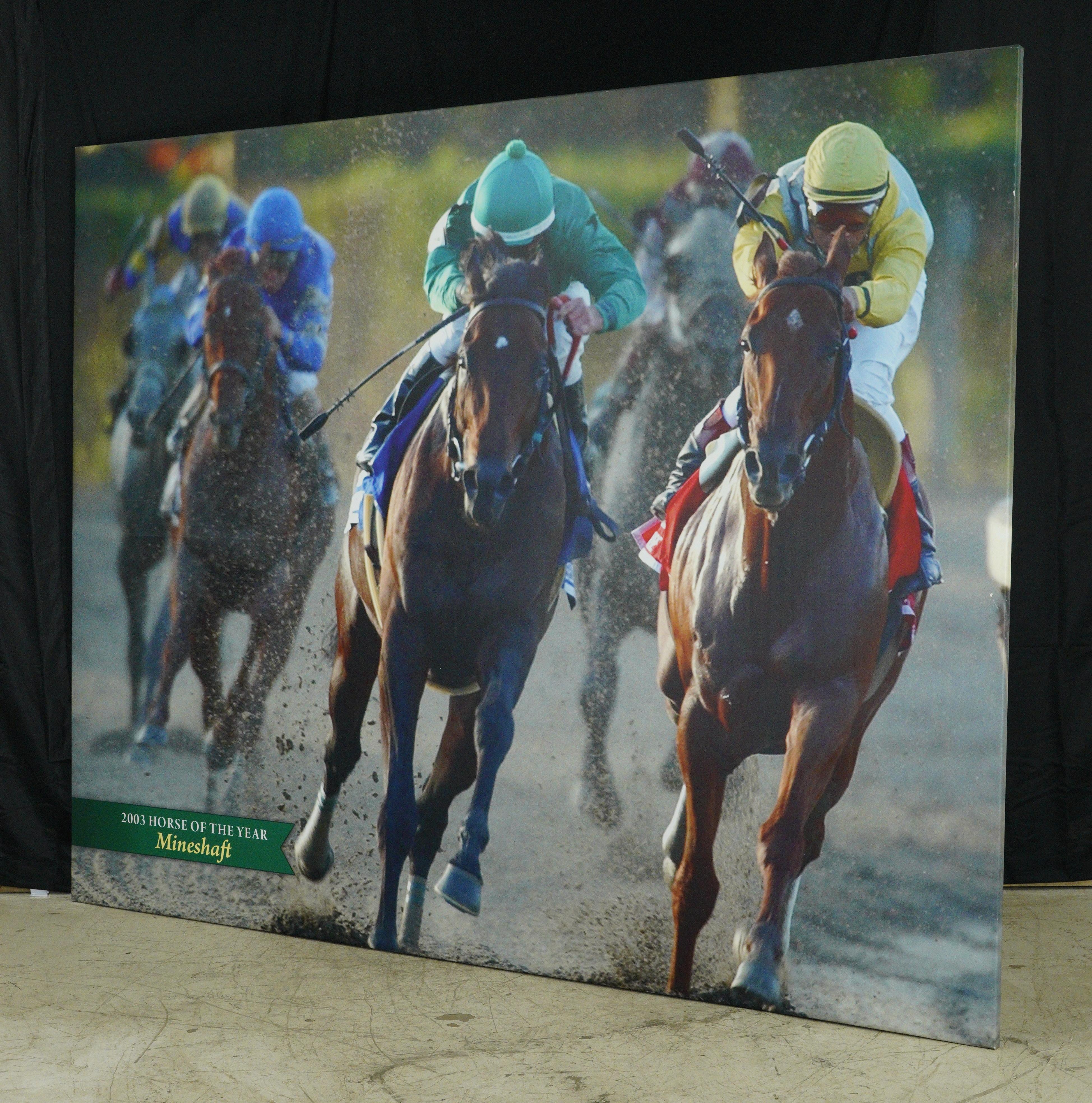 Belmont Park 2003 Pferd des Jahres Mineshaft Canvas Druck im Angebot 2