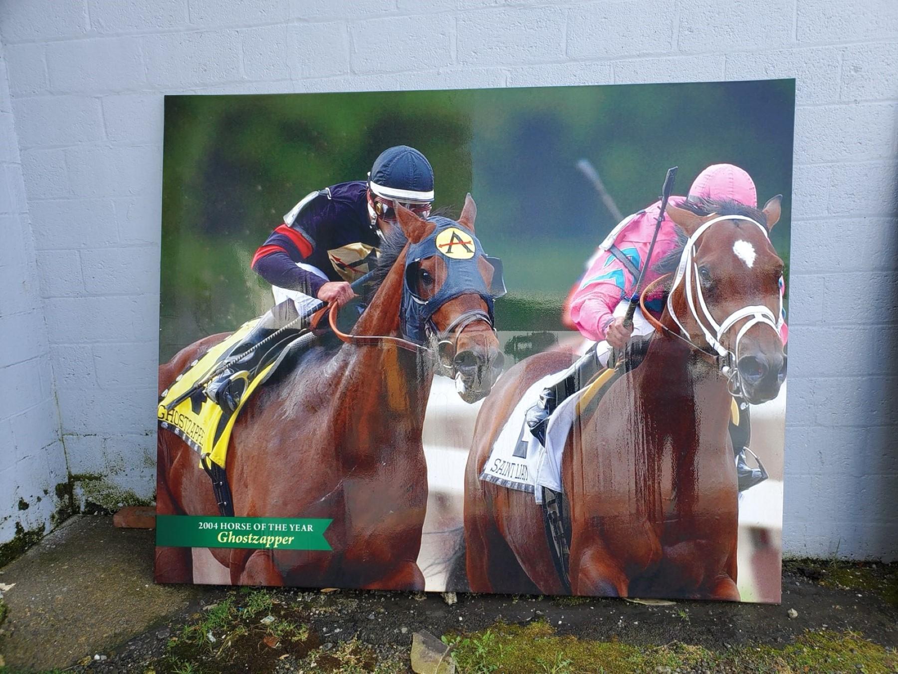 Belmont Park 2004 Horse of The Year Ghostzapper Vinyl Print For Sale 5