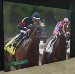 Belmont Park 2004 Horse of The Year Ghostzapper Vinyl Print