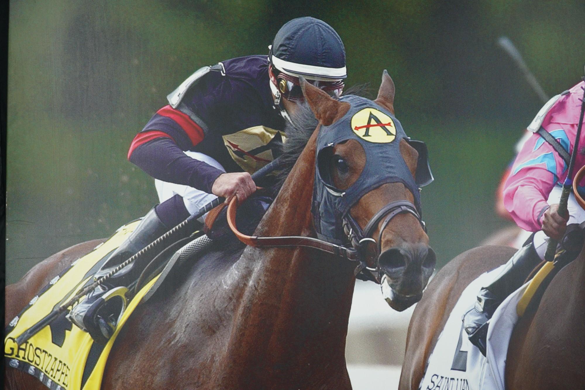 American Belmont Park 2004 Horse of The Year Ghostzapper Vinyl Print For Sale
