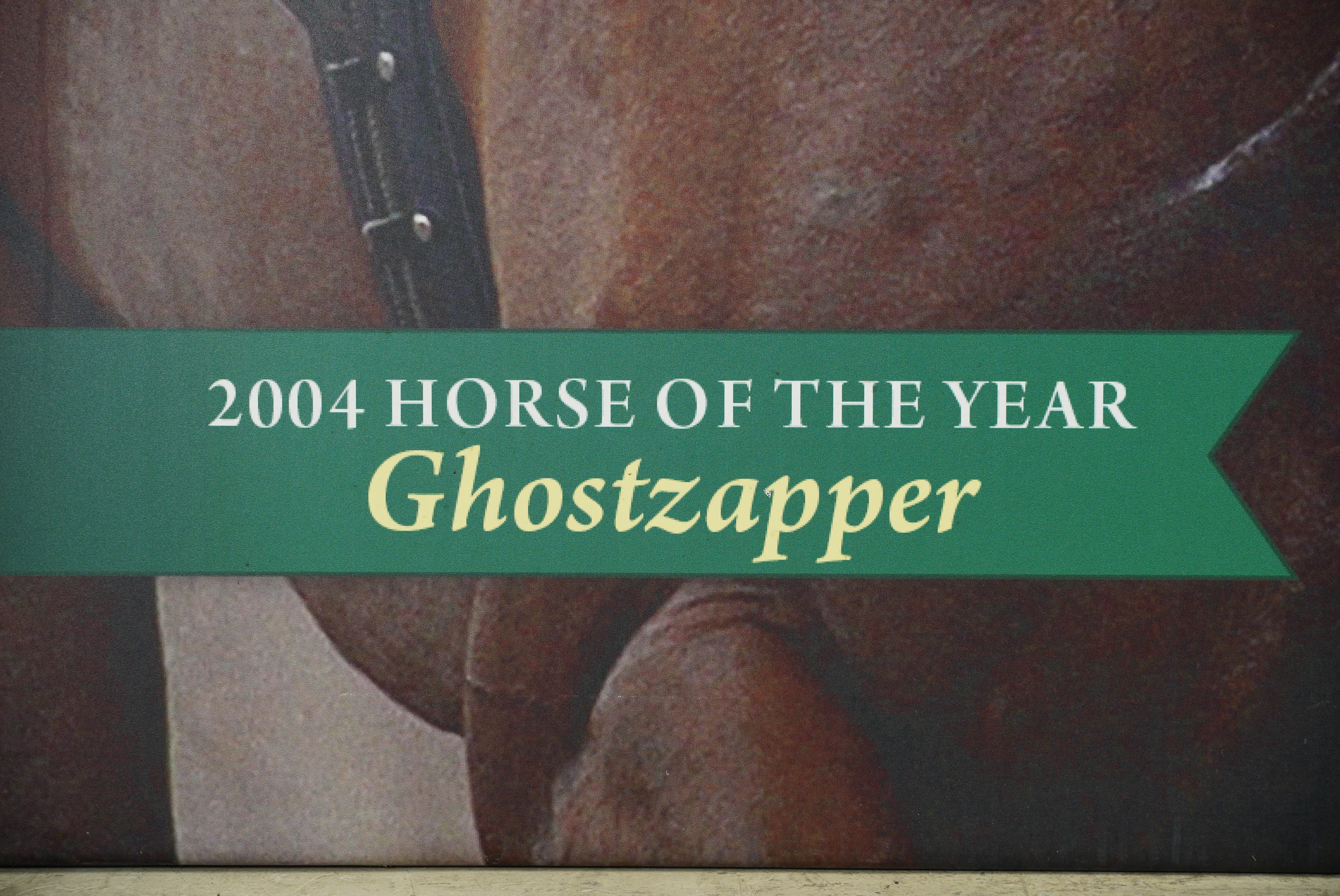 Contemporary Belmont Park 2004 Horse of The Year Ghostzapper Vinyl Print For Sale