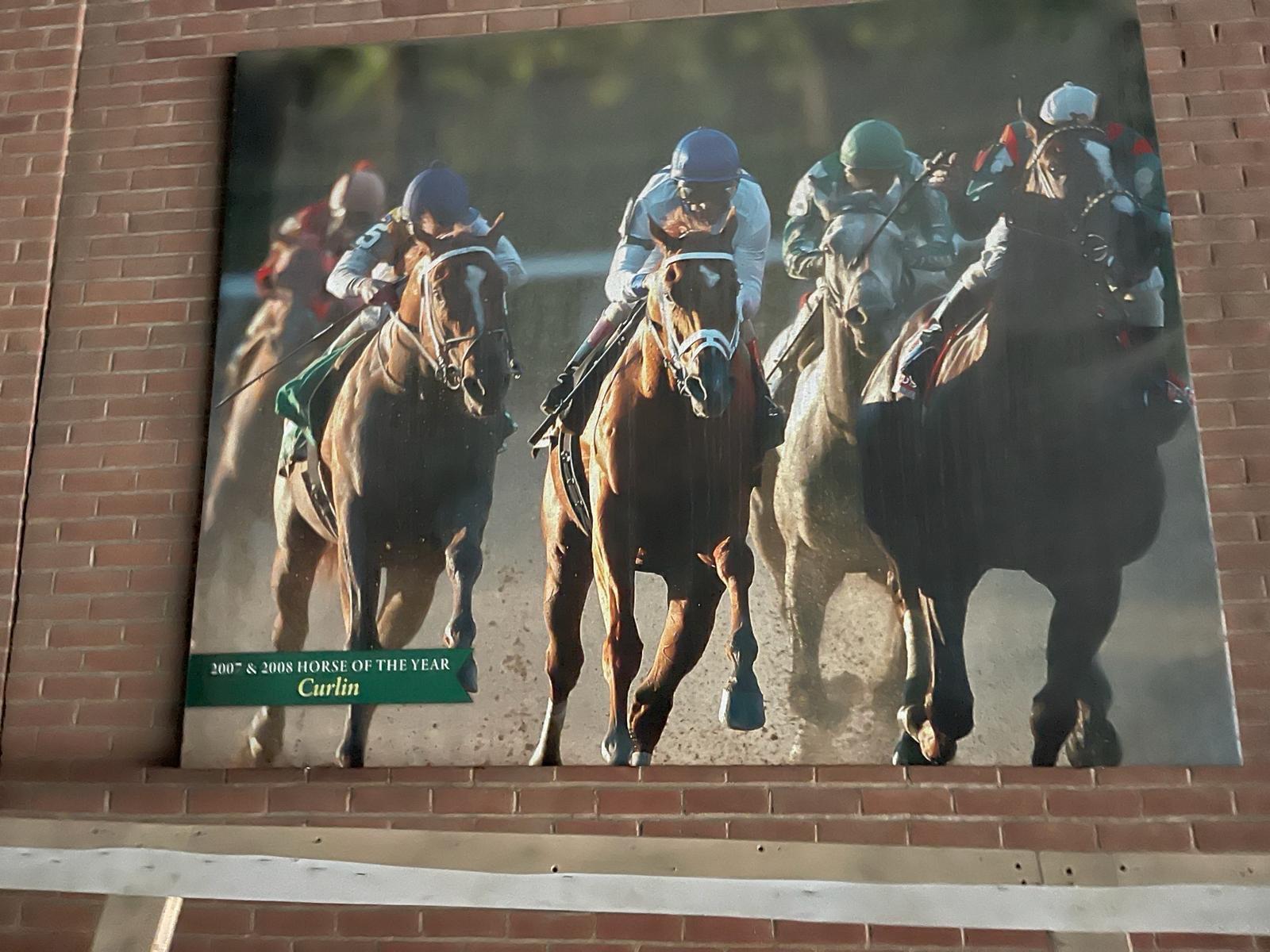 Belmont Park 2007 & 2008 Caballo del Año Curlin Impresión en Lienzo en venta 10