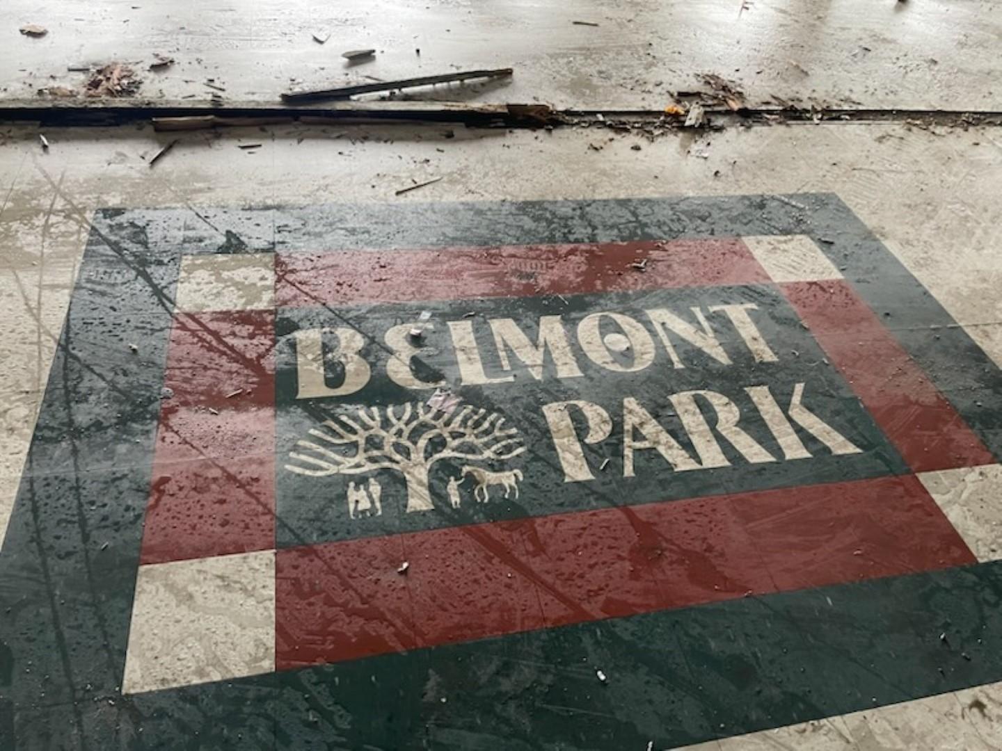 Belmont Park 2007 & 2008 Caballo del Año Curlin Impresión en Lienzo en venta 11