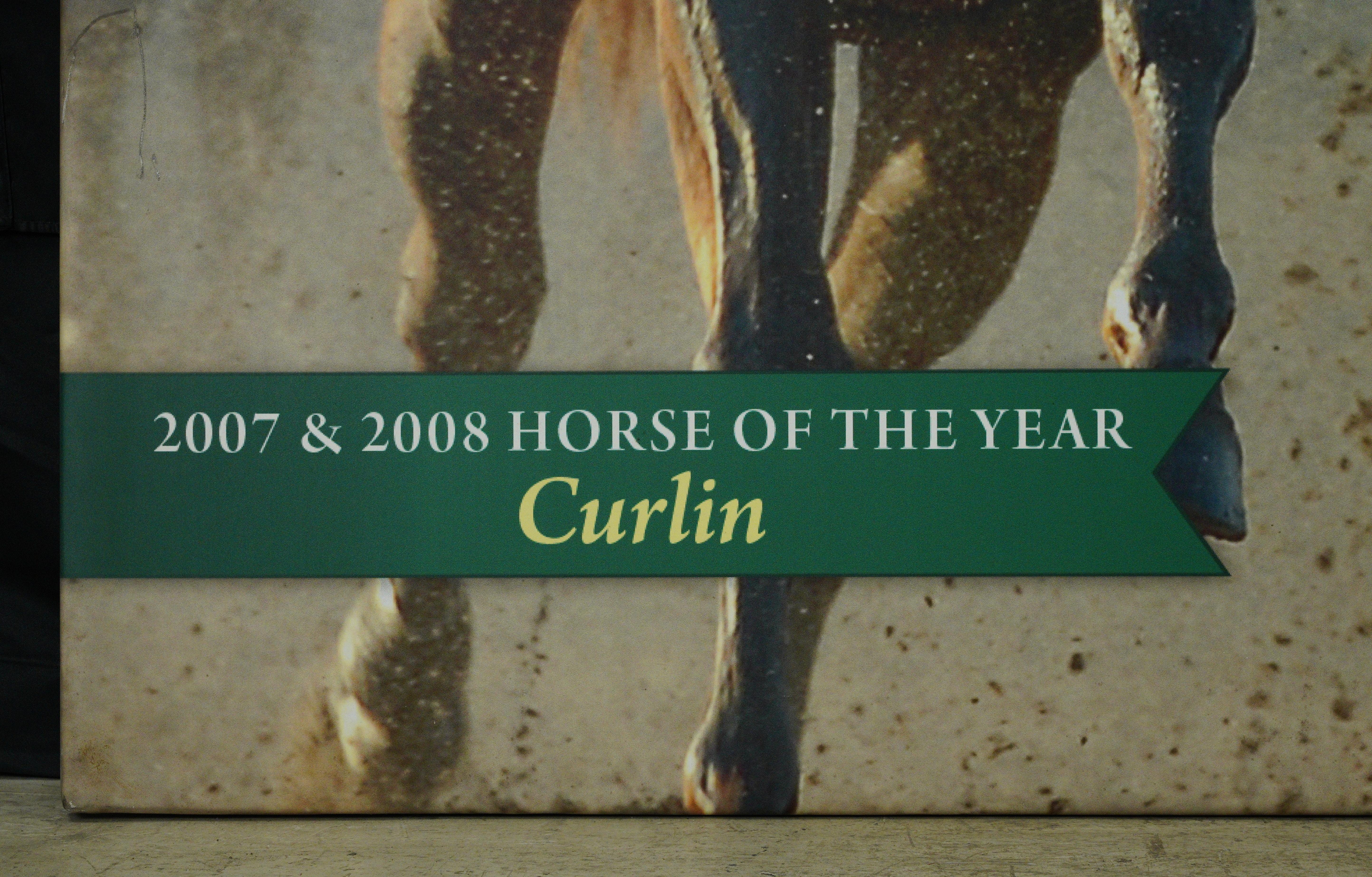 Belmont Park 2007 & 2008 Caballo del Año Curlin Impresión en Lienzo Estadounidense en venta