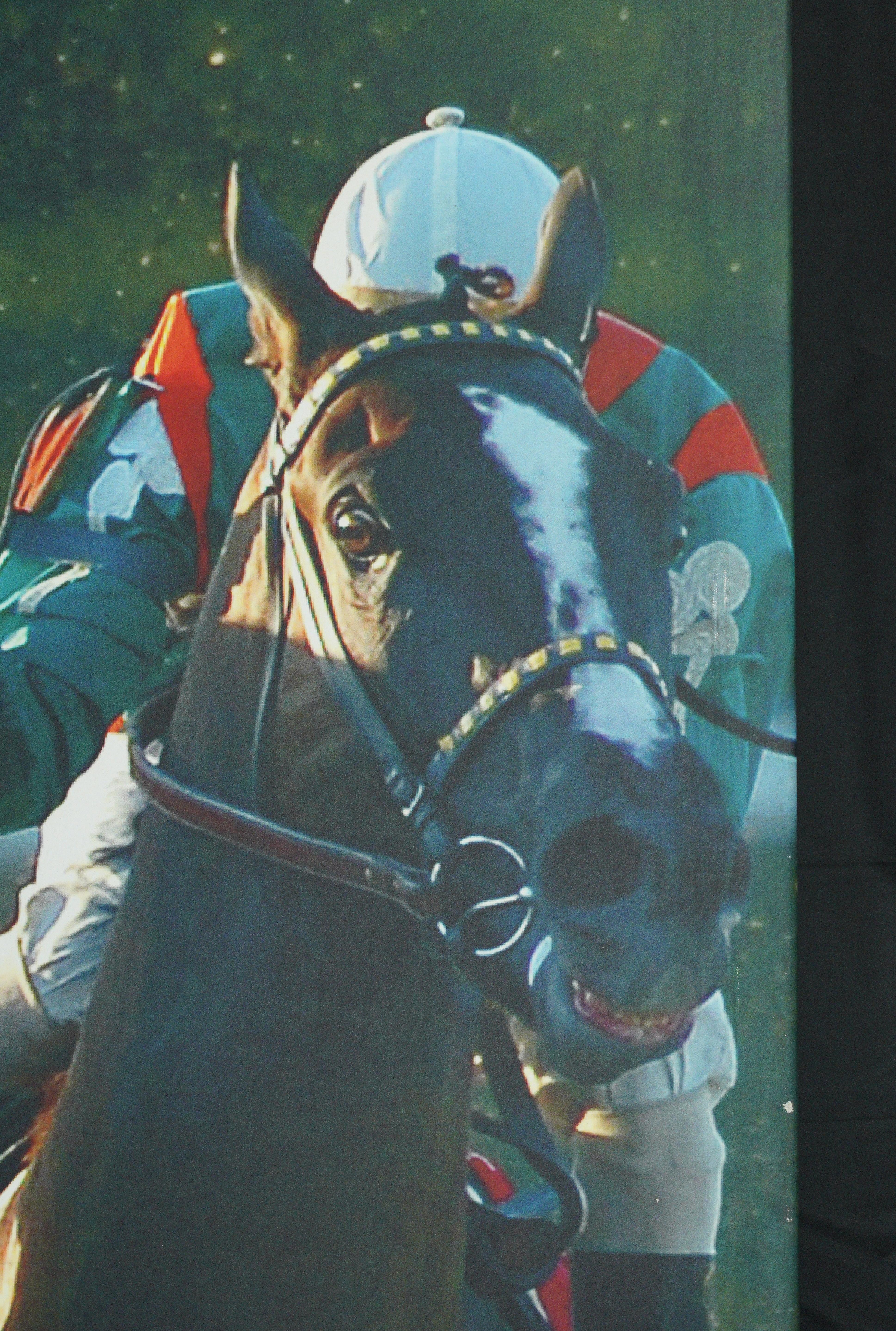 Belmont Park 2007 & 2008 Caballo del Año Curlin Impresión en Lienzo en Bueno estado para la venta en New York, NY