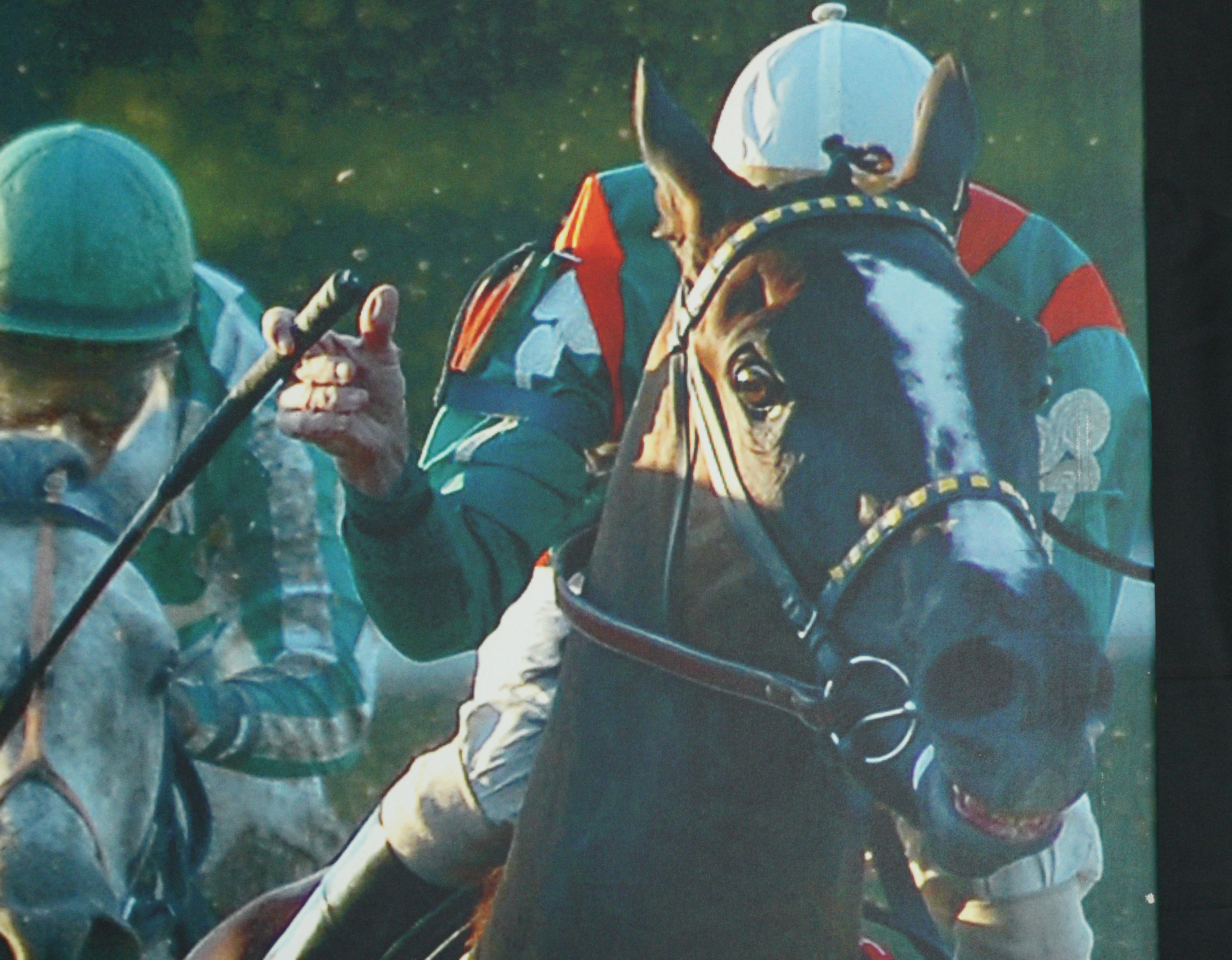 Belmont Park 2007 & 2008 Caballo del Año Curlin Impresión en Lienzo Siglo XXI y contemporáneo en venta