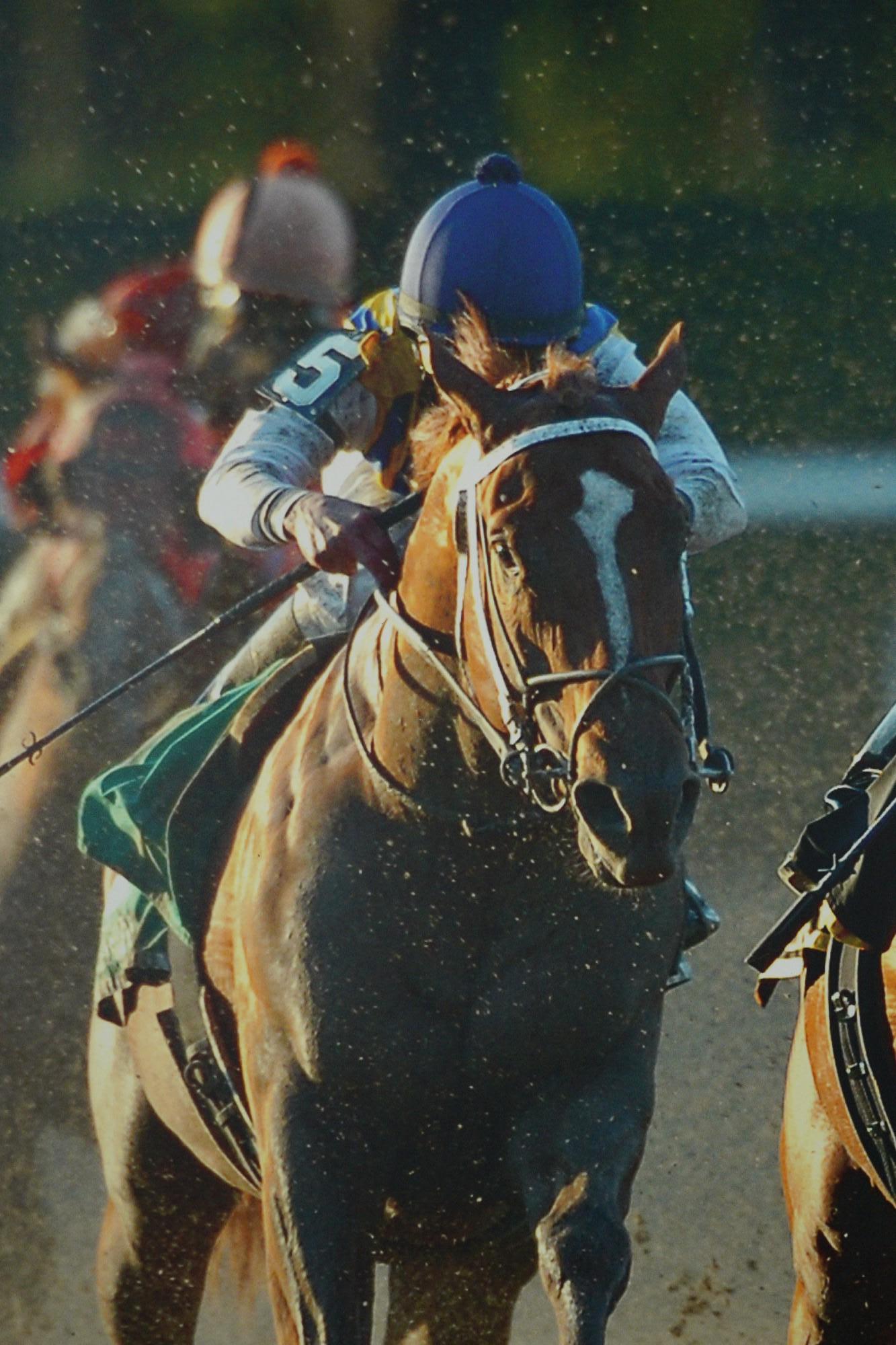 Belmont Park 2007 & 2008 Caballo del Año Curlin Impresión en Lienzo en venta 1