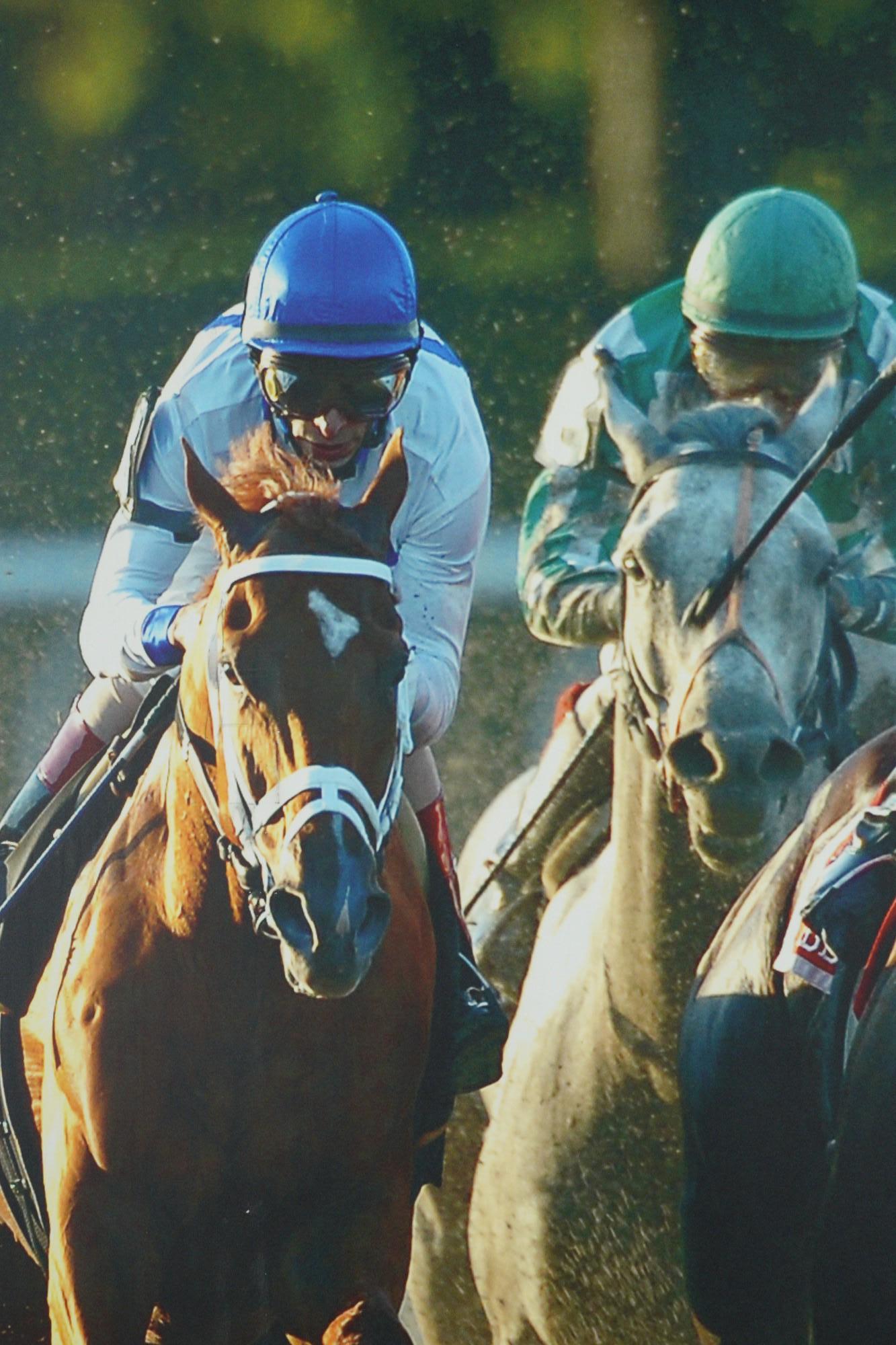 Belmont Park 2007 & 2008 Caballo del Año Curlin Impresión en Lienzo en venta 2