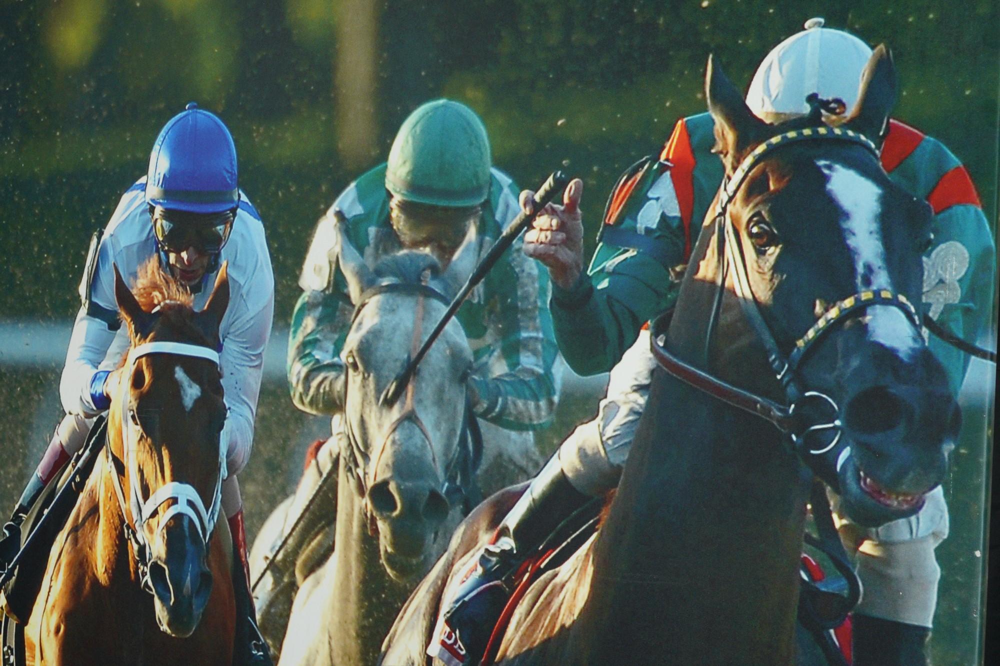 Belmont Park 2007 & 2008 Caballo del Año Curlin Impresión en Lienzo en venta 3