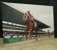 Belmont Park 2011 Horse of The Year Havre de Grace Vinyl Print