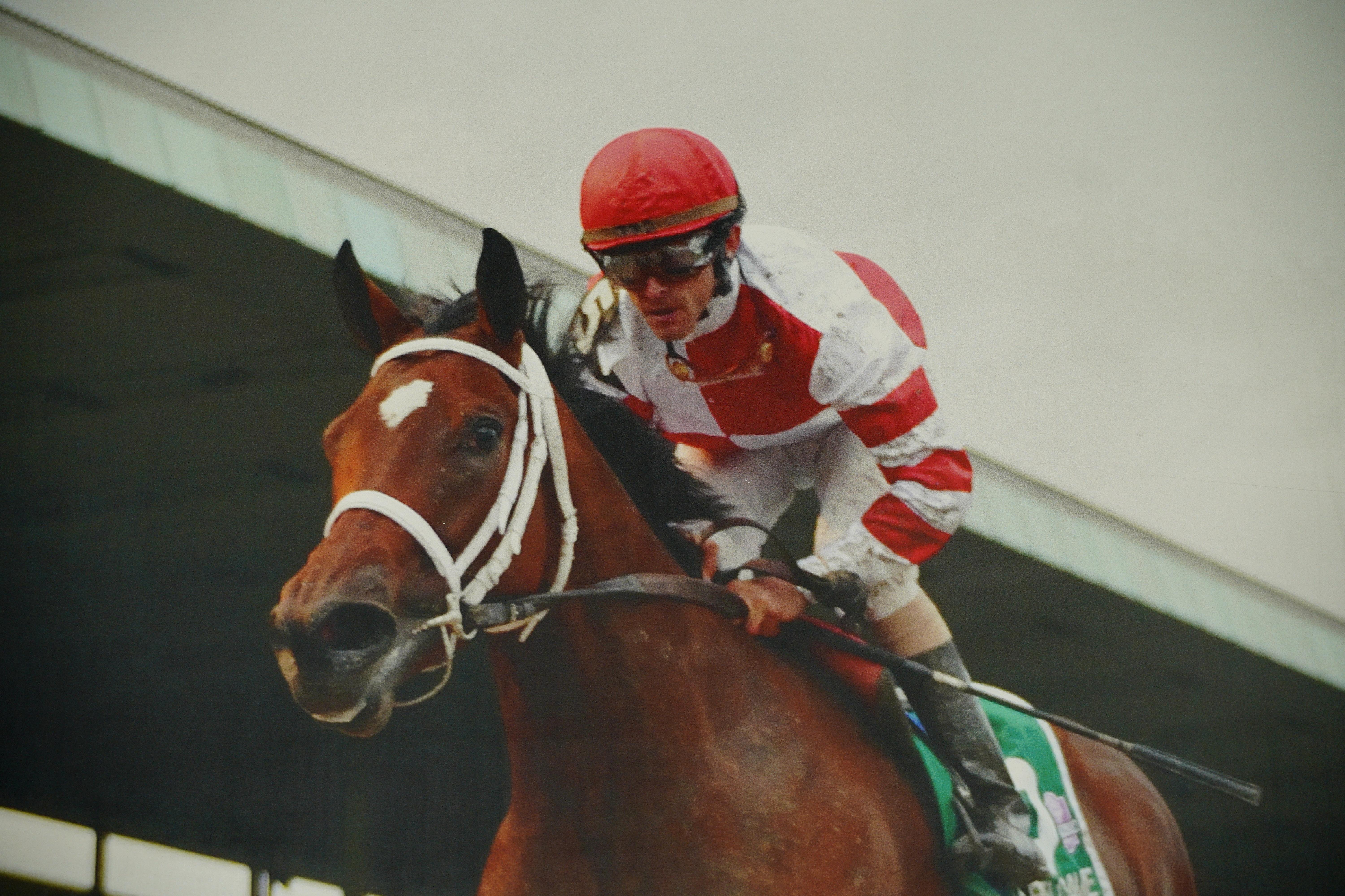 Impresión en vinilo del Caballo del Año Havre de Grace 2011 de Belmont Park Estadounidense en venta