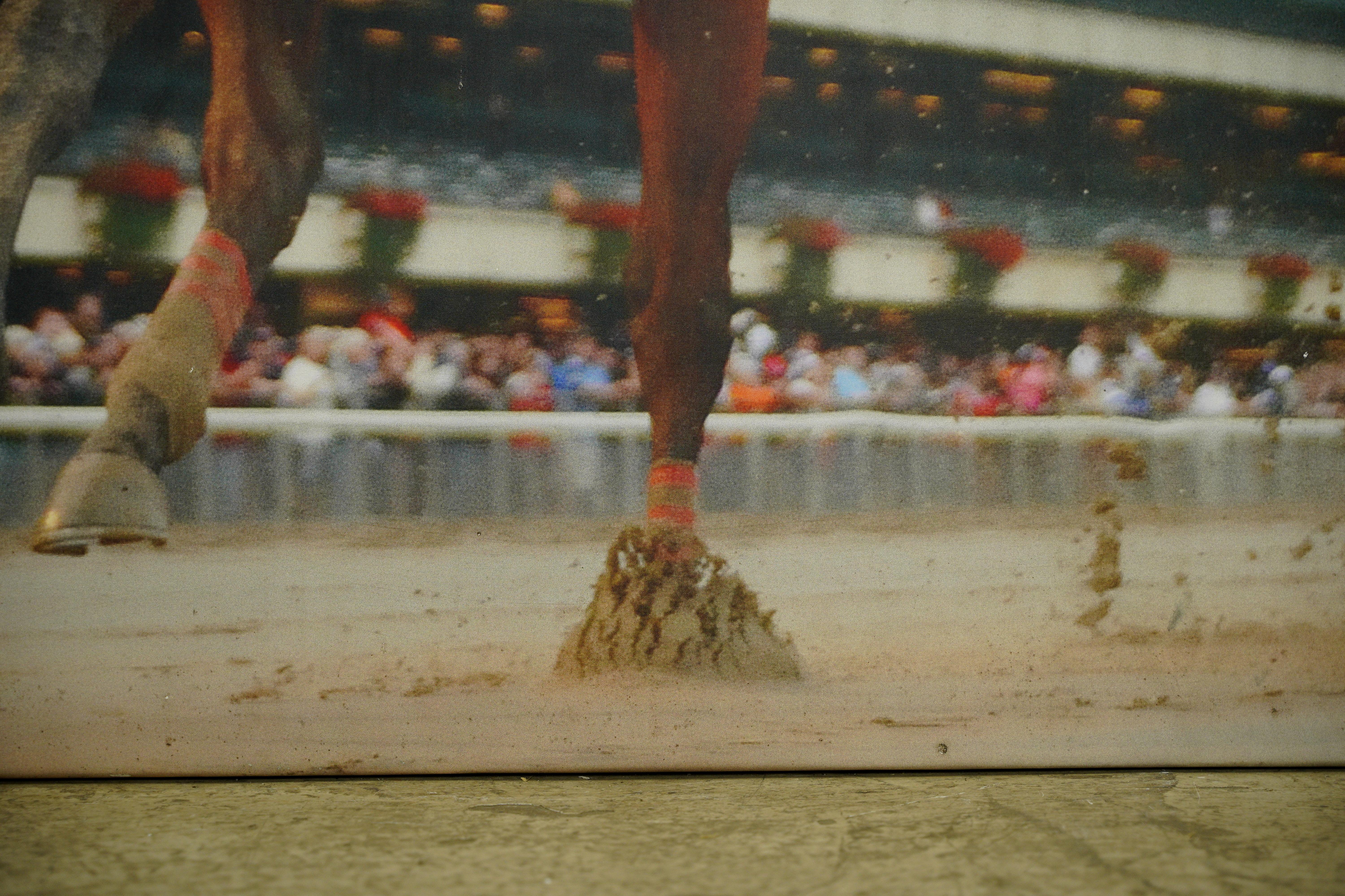 Impresión en vinilo del Caballo del Año Havre de Grace 2011 de Belmont Park en Bueno estado para la venta en New York, NY