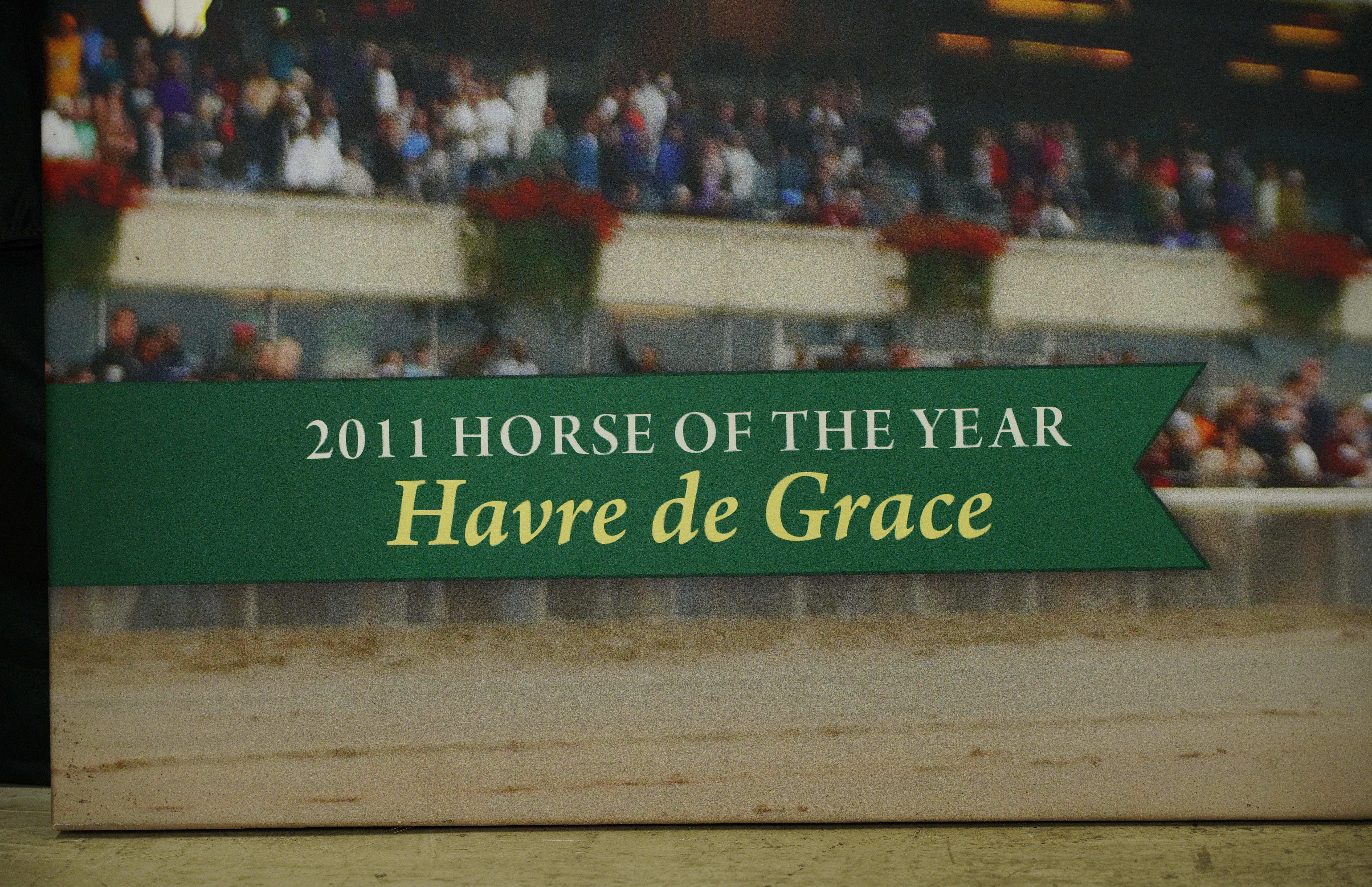 Impresión en vinilo del Caballo del Año Havre de Grace 2011 de Belmont Park Siglo XXI y contemporáneo en venta