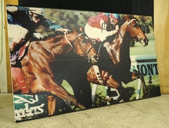 Belmont Park Horse Racetrack Vinyl Print