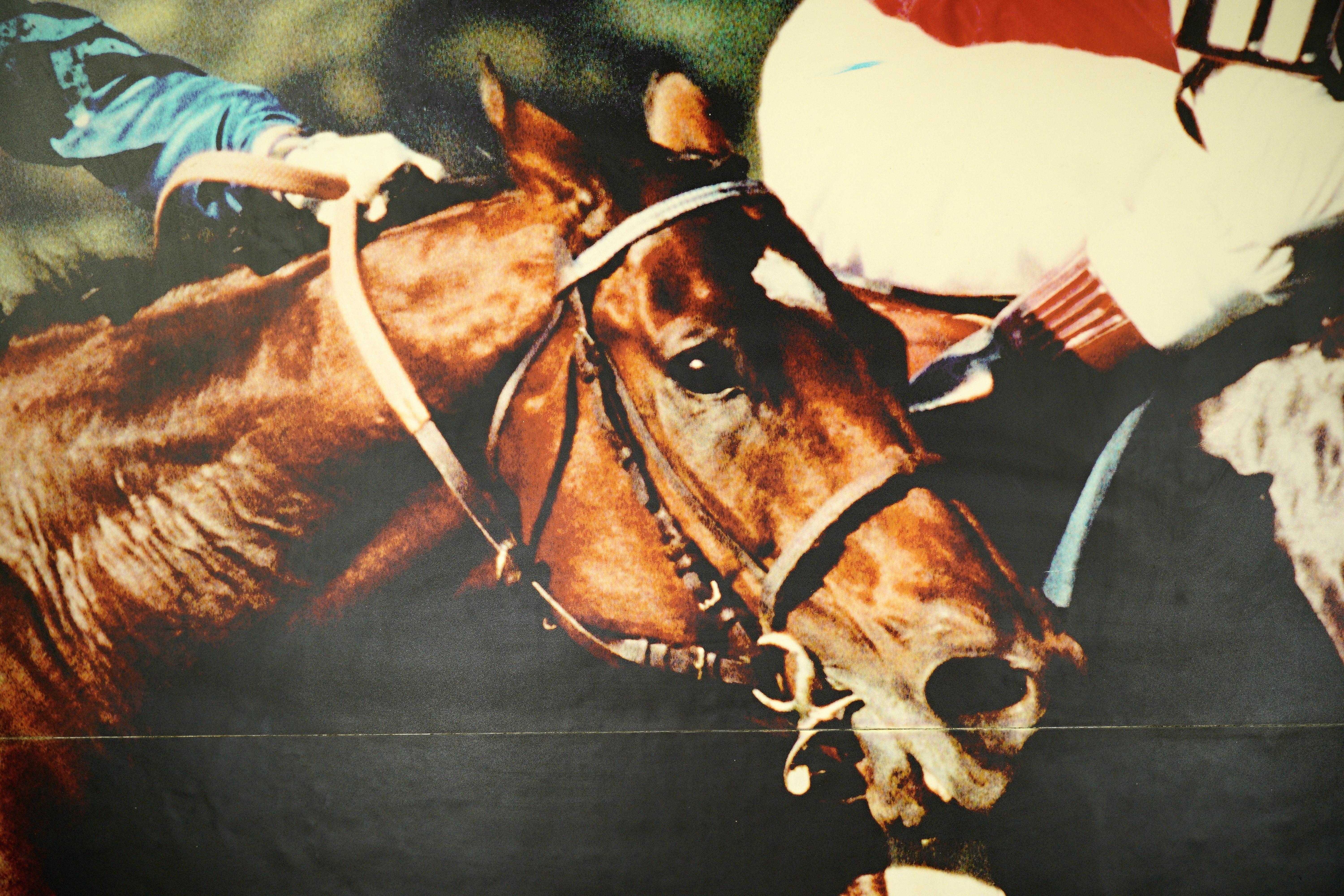 Belmont Park Pferd Rennbahn Vinyl Druck (amerikanisch) im Angebot