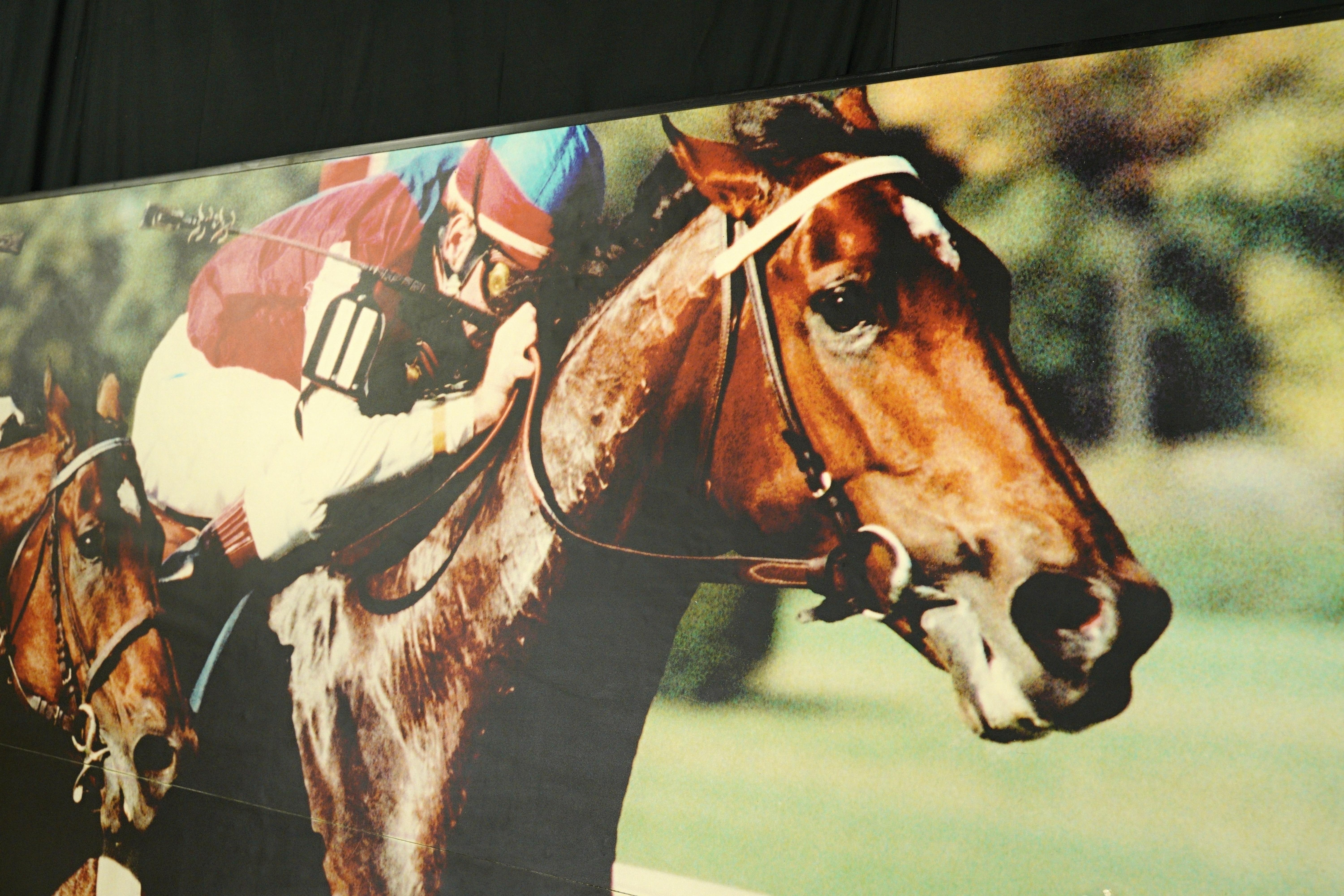 Belmont Park Pferd Rennbahn Vinyl Druck im Zustand „Gut“ im Angebot in New York, NY